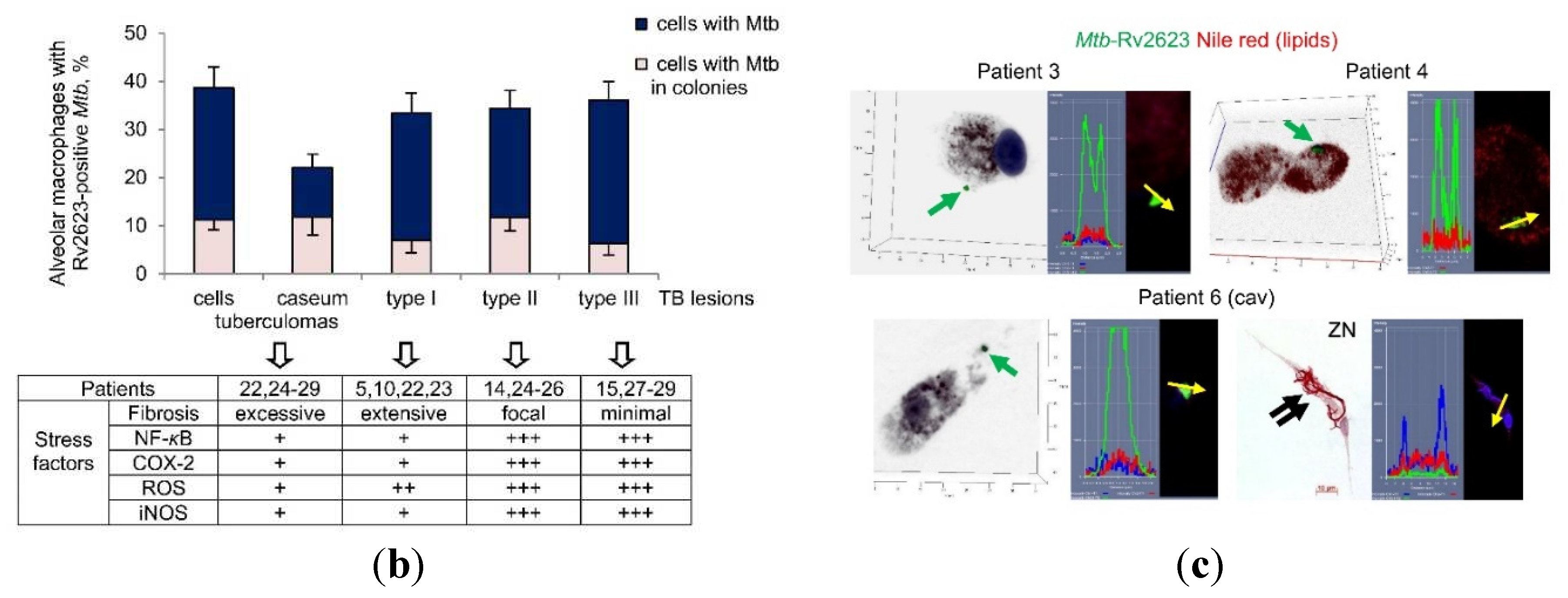 Preprints 82704 g004b