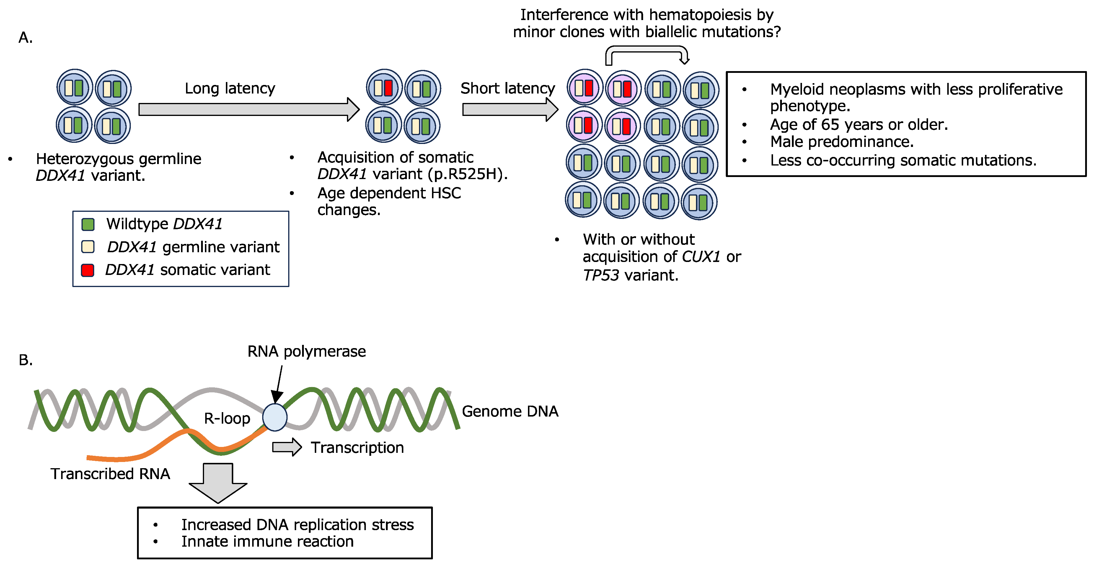 Preprints 89890 g001