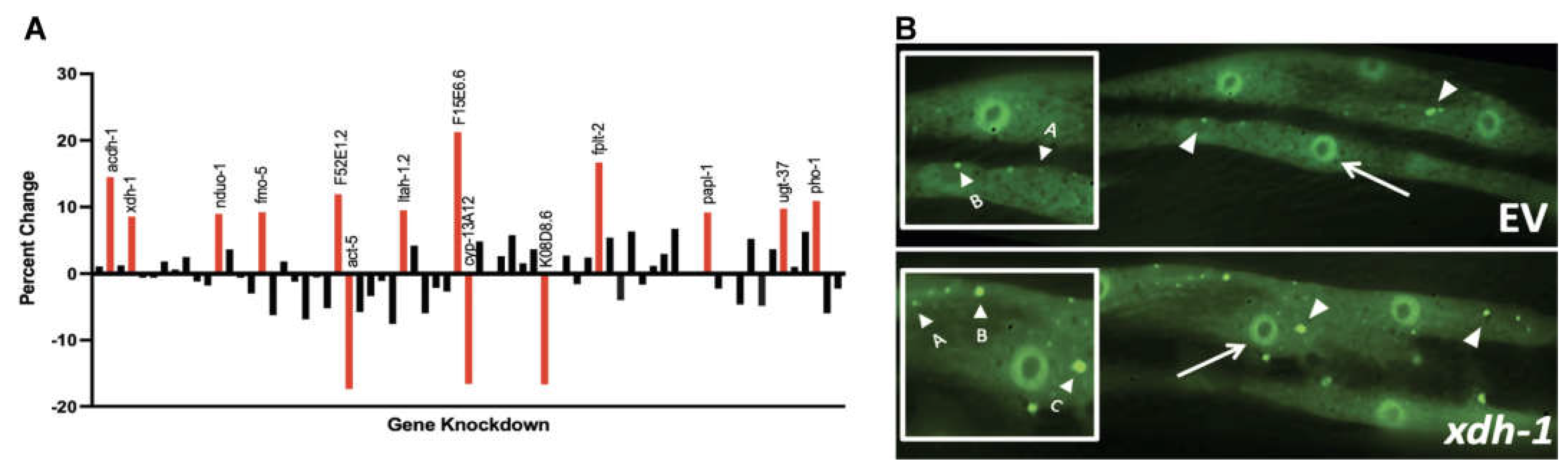 Preprints 69707 g001