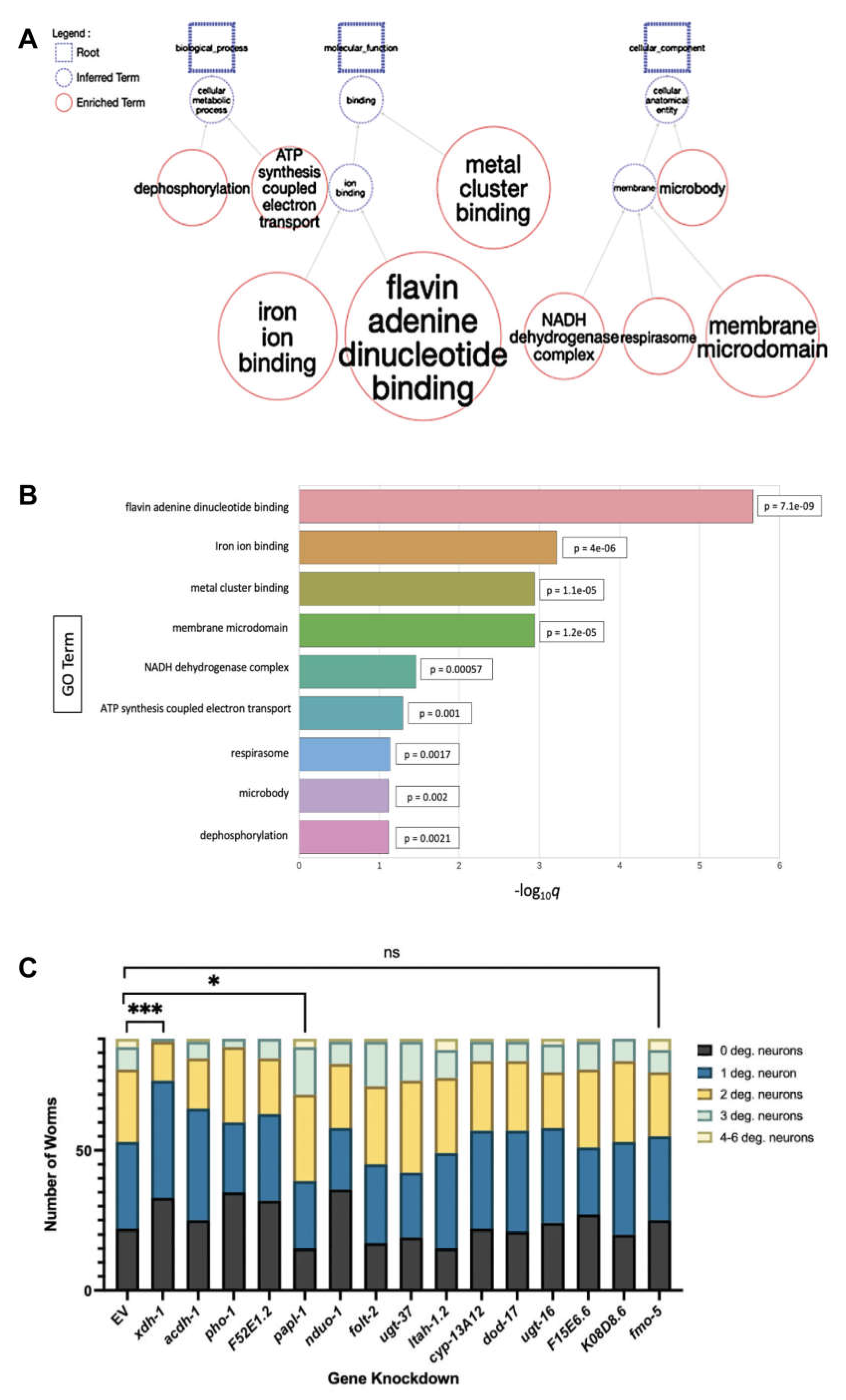 Preprints 69707 g002