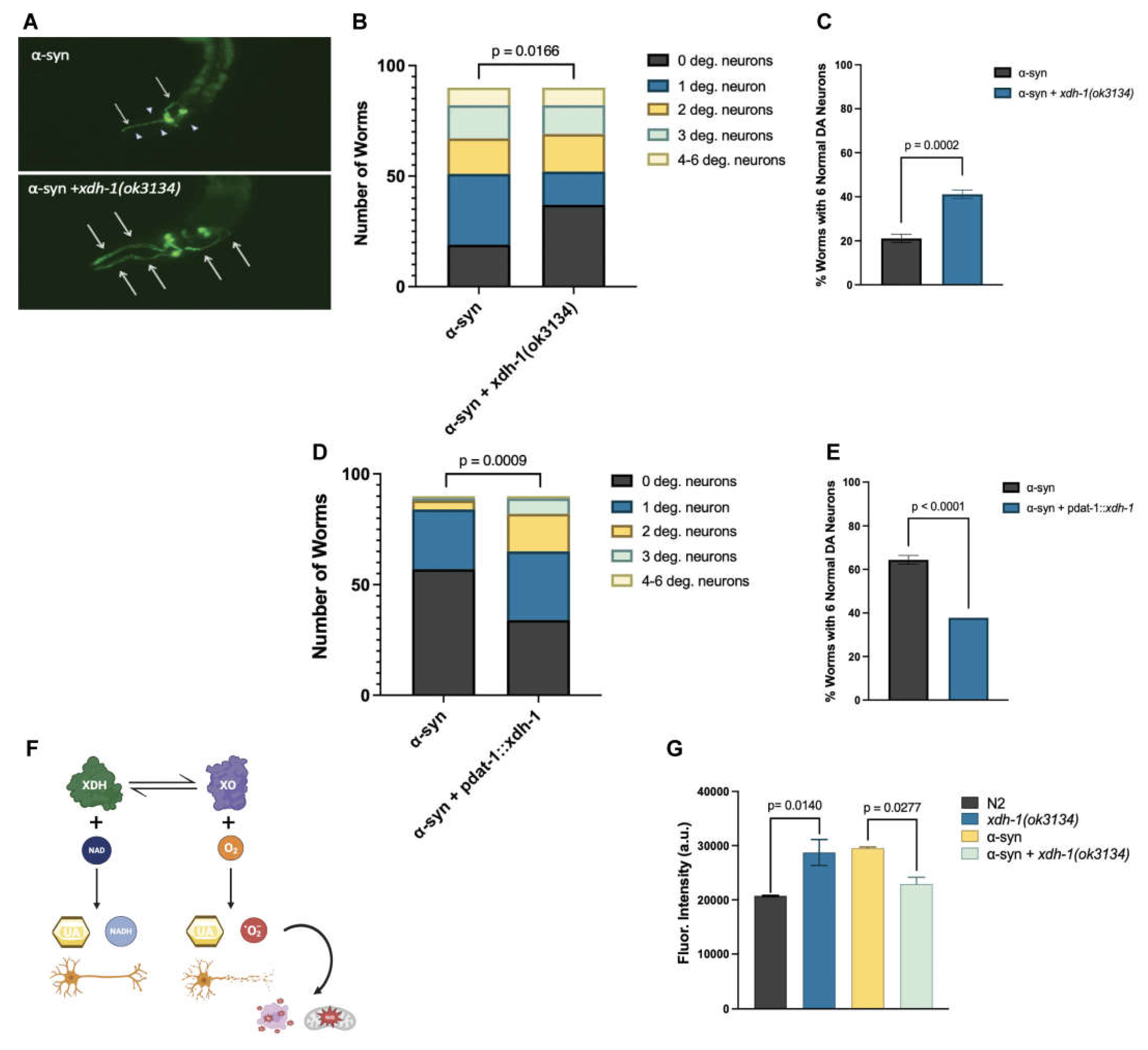 Preprints 69707 g003