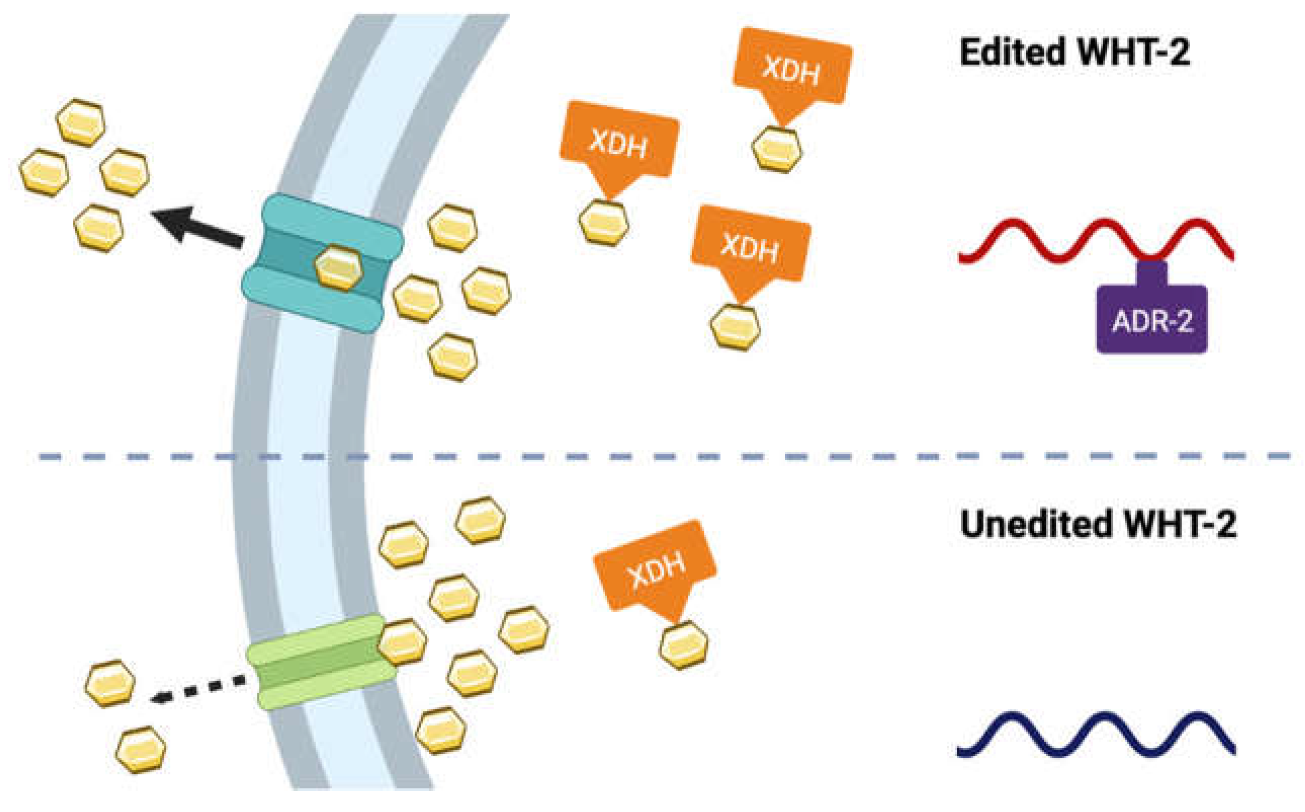 Preprints 69707 g006