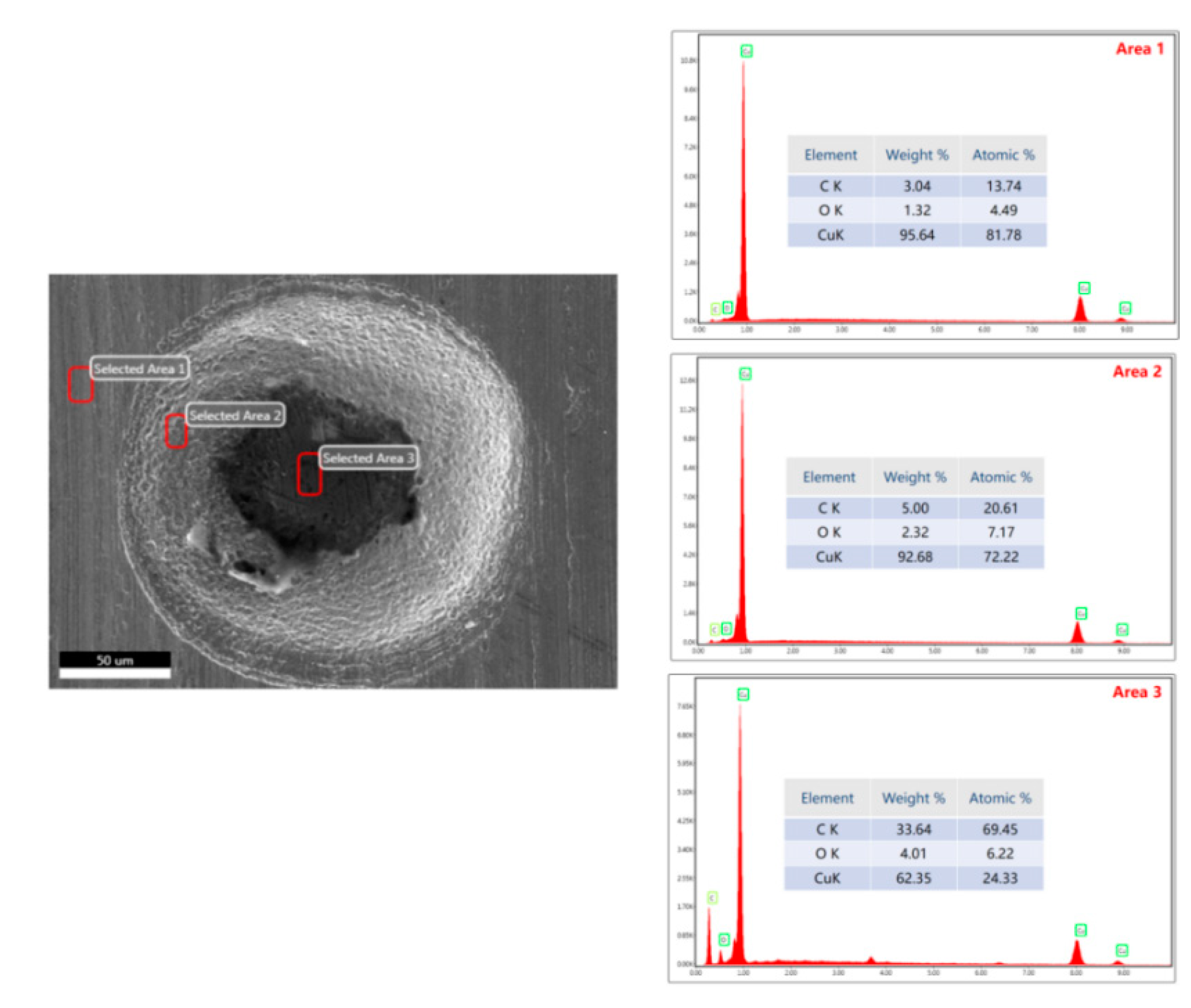 Preprints 111698 g016