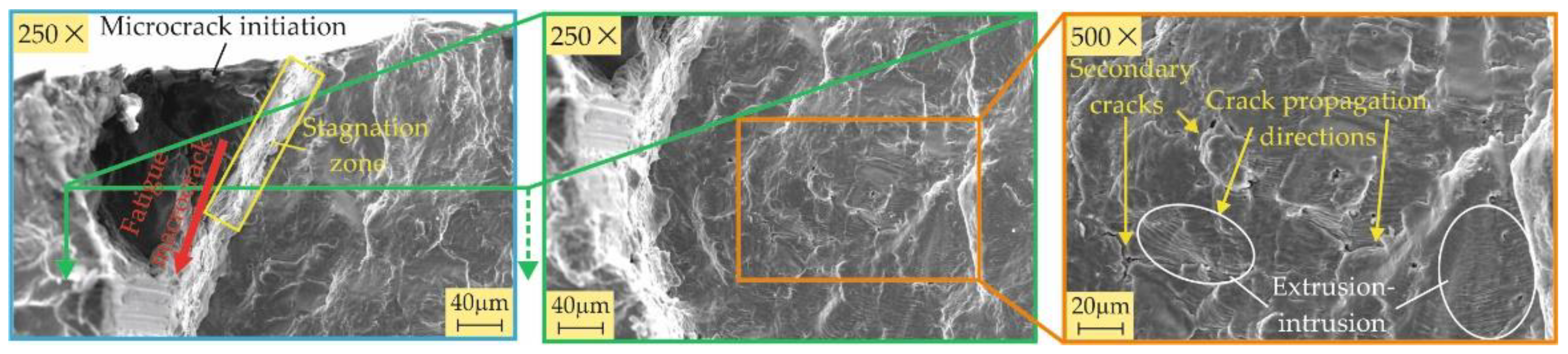 Preprints 106957 g013