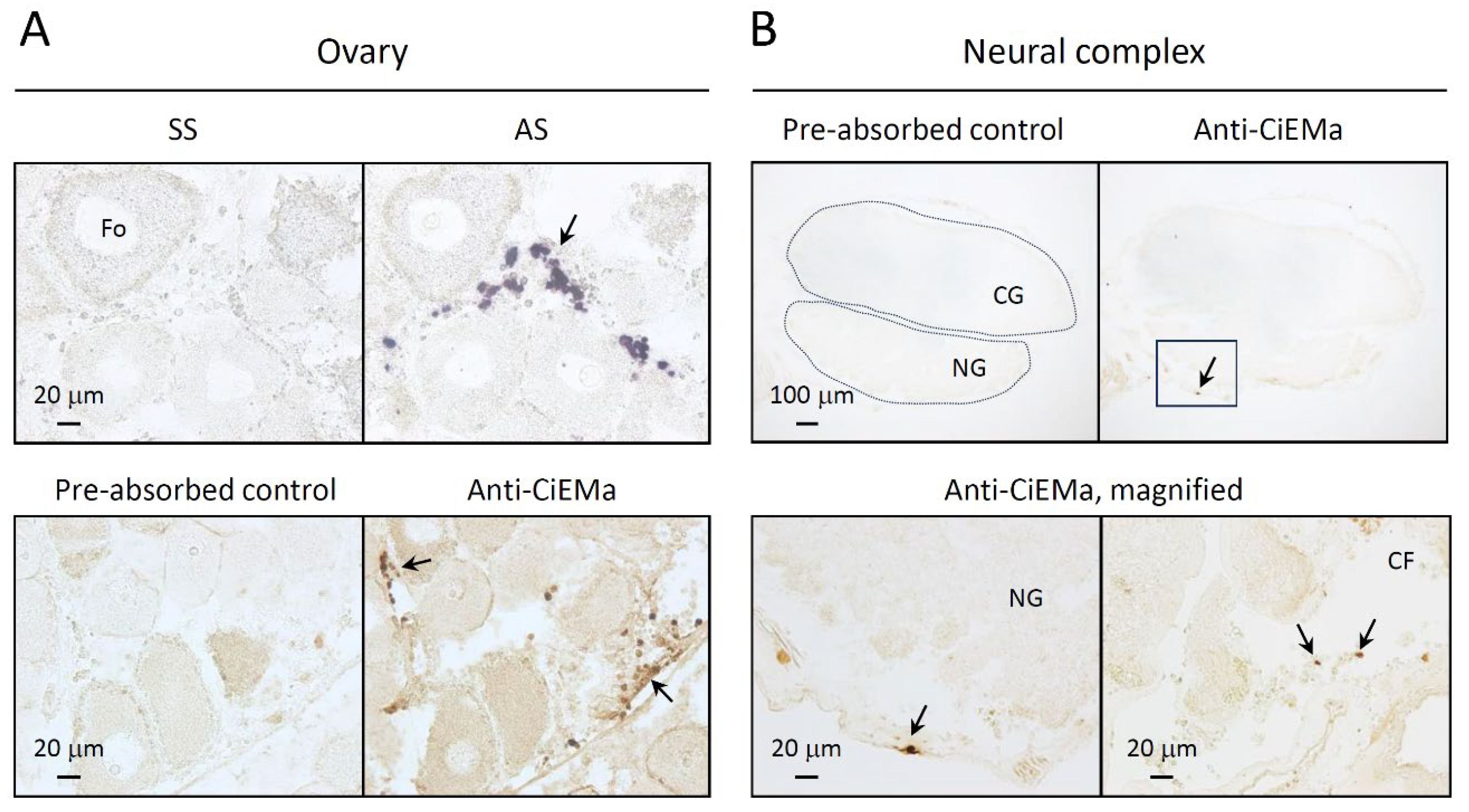 Preprints 93946 g003