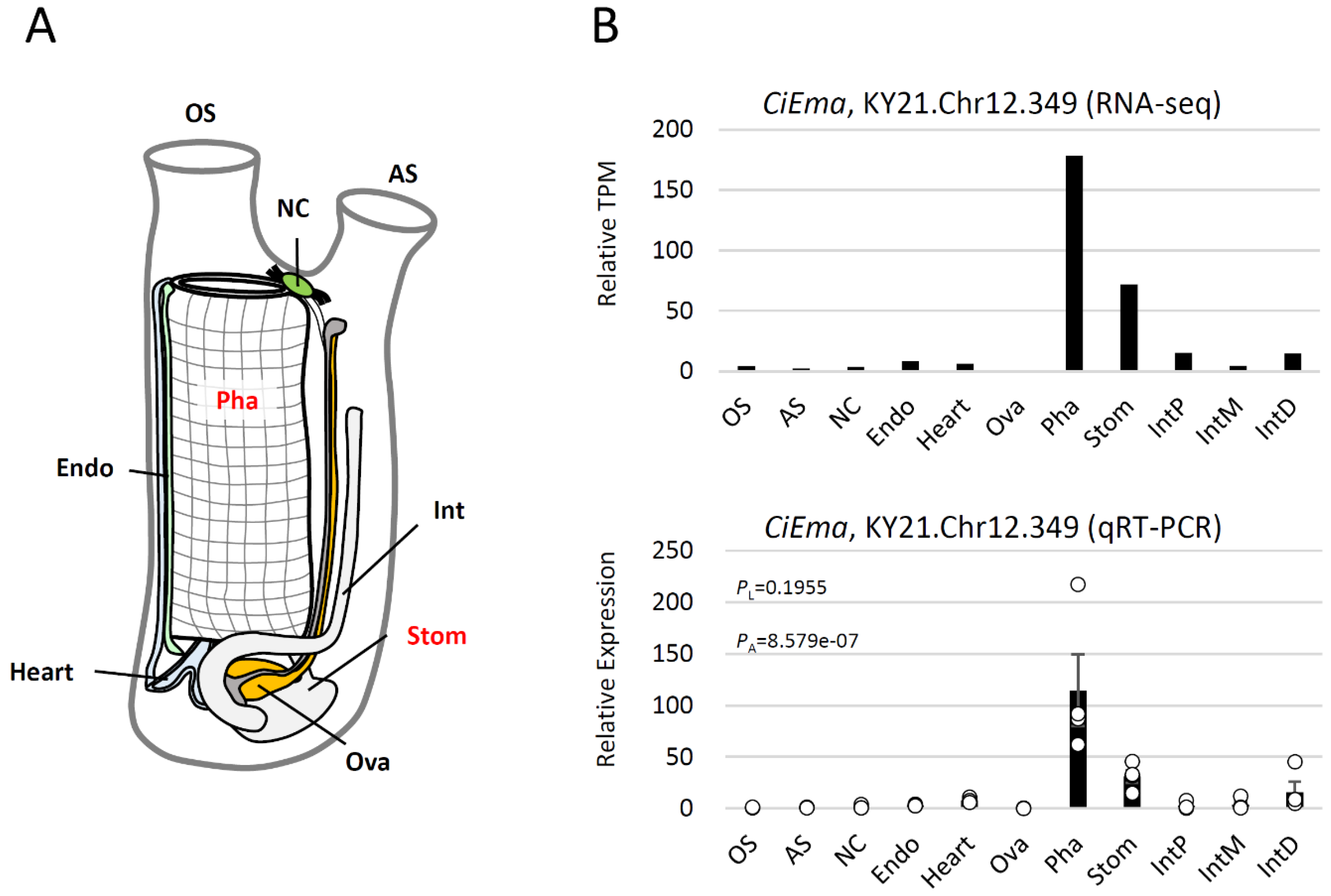 Preprints 93946 g006