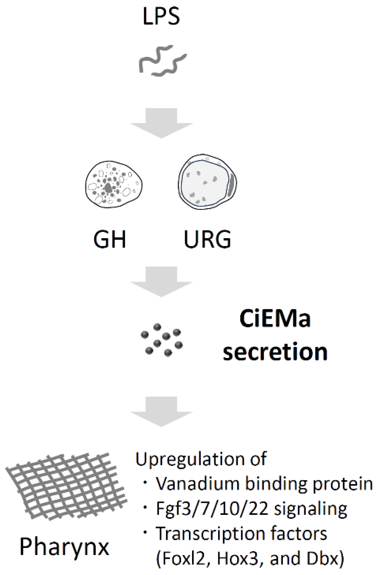 Preprints 93946 g010