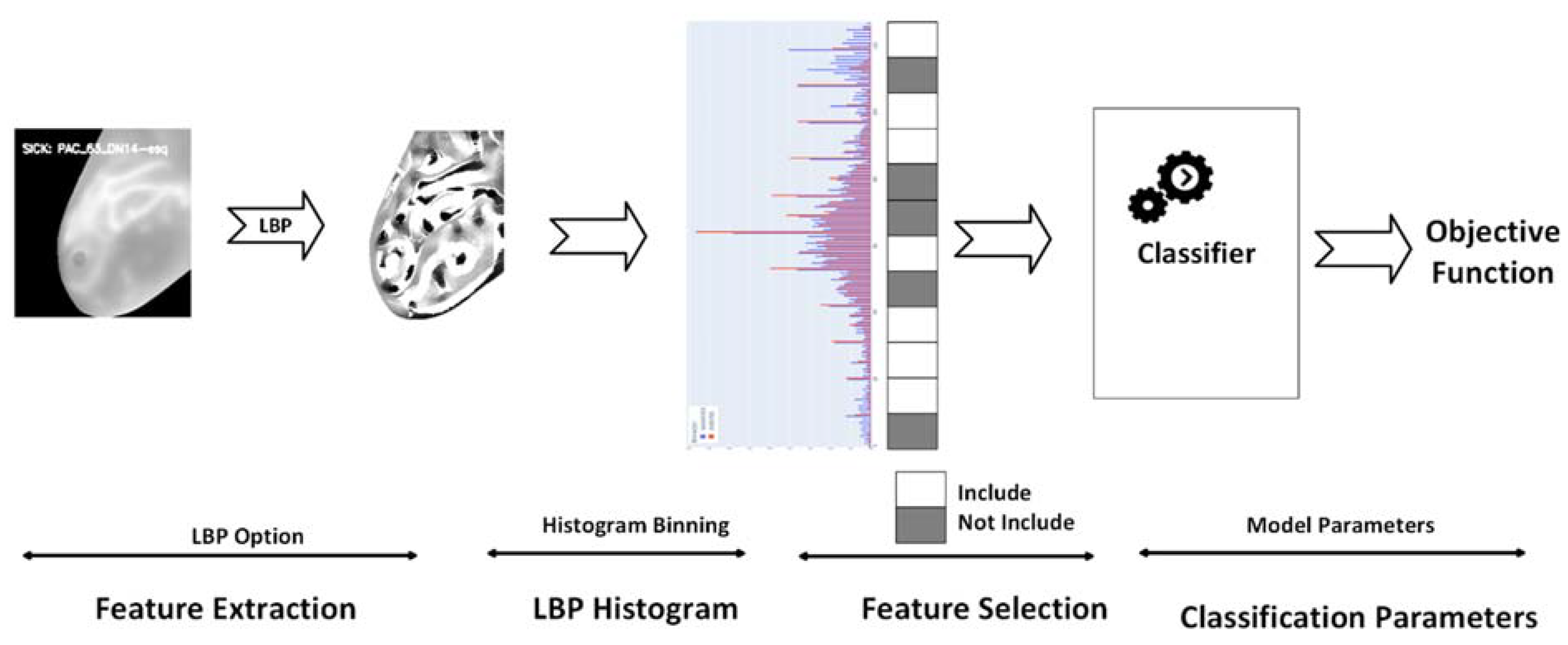 Preprints 116788 g002