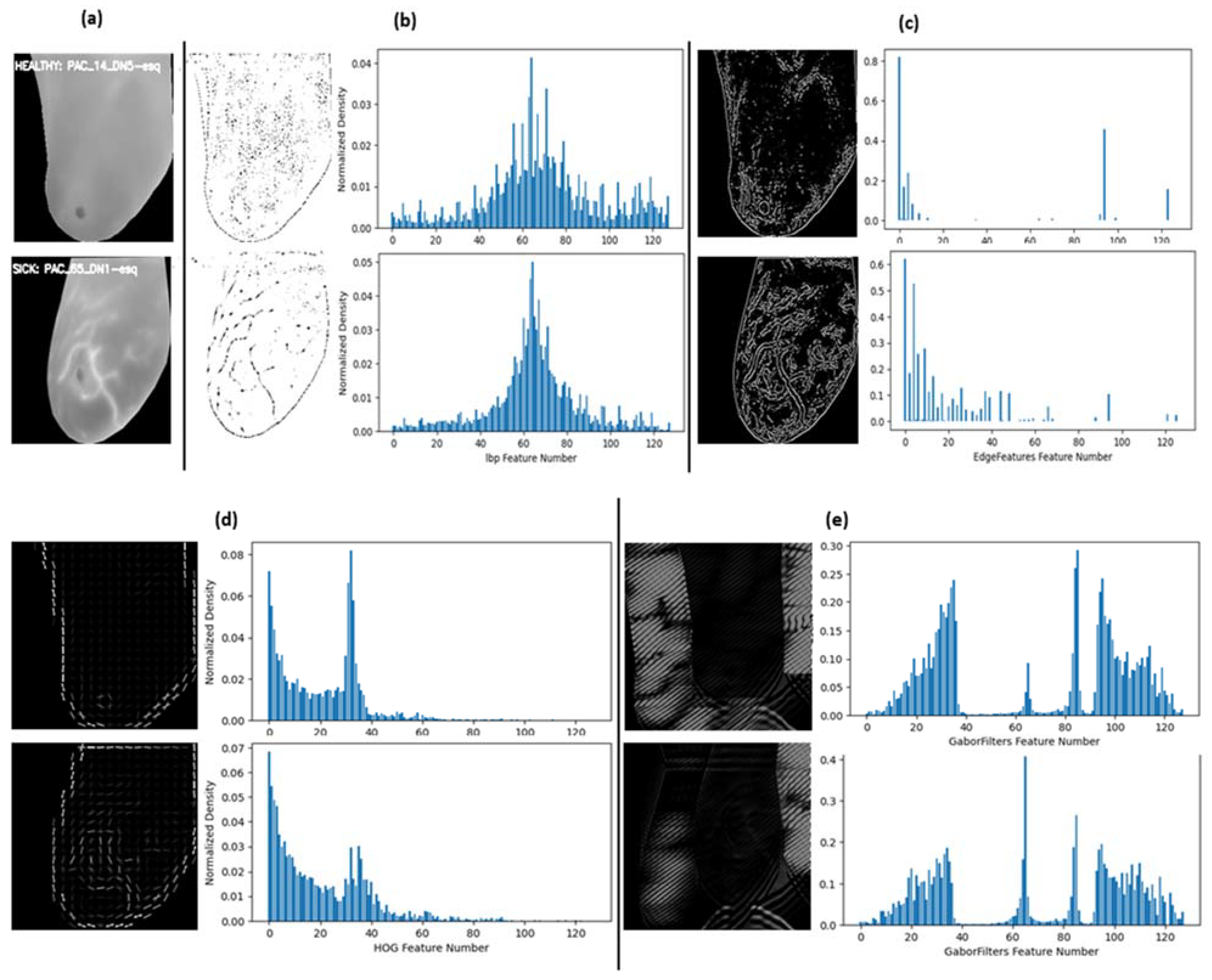 Preprints 116788 g004