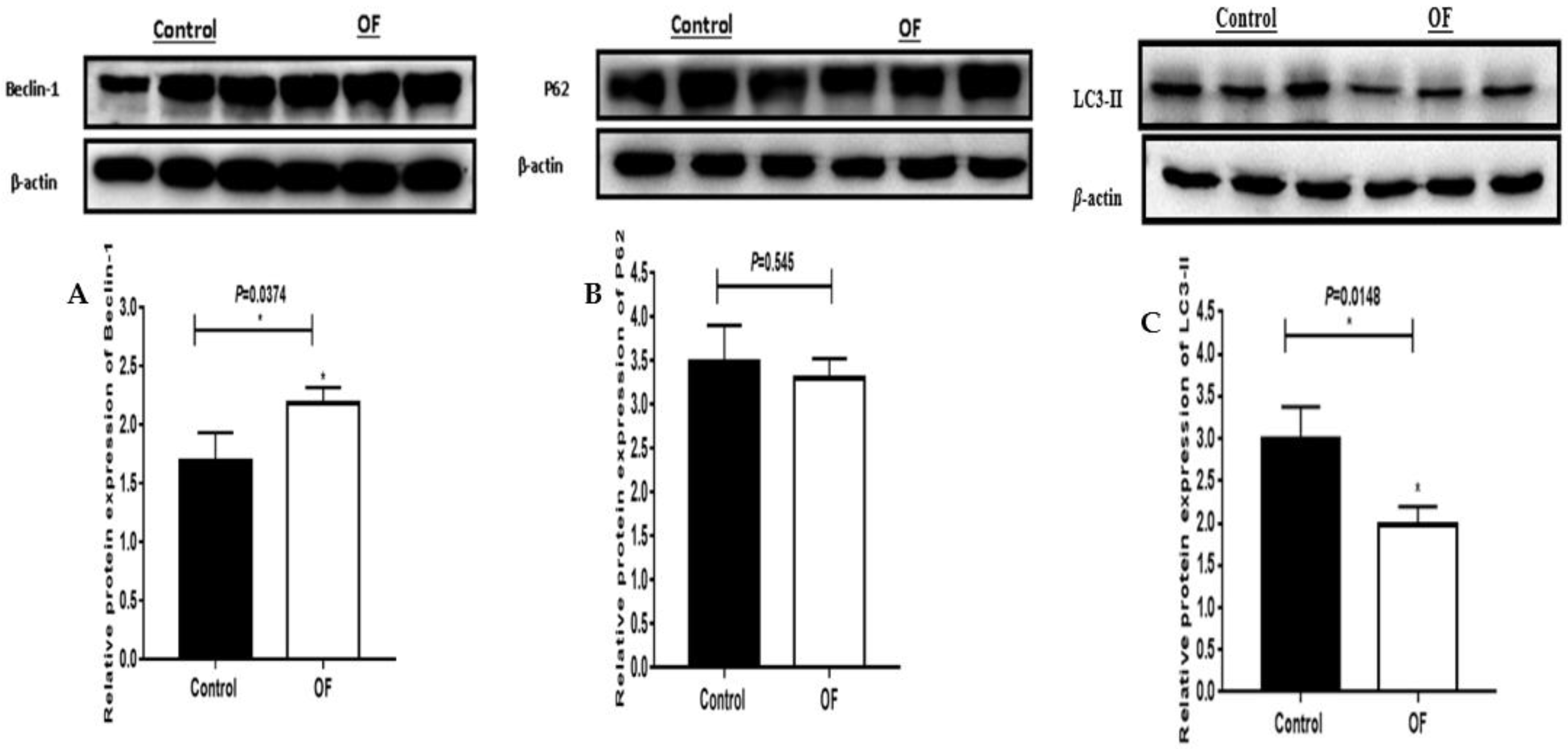 Preprints 77491 g002