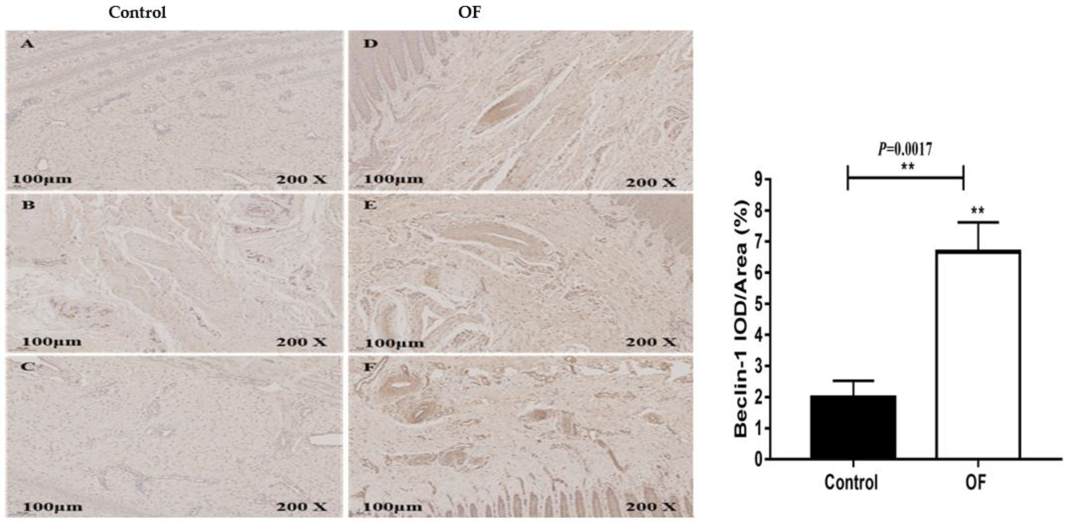 Preprints 77491 g003