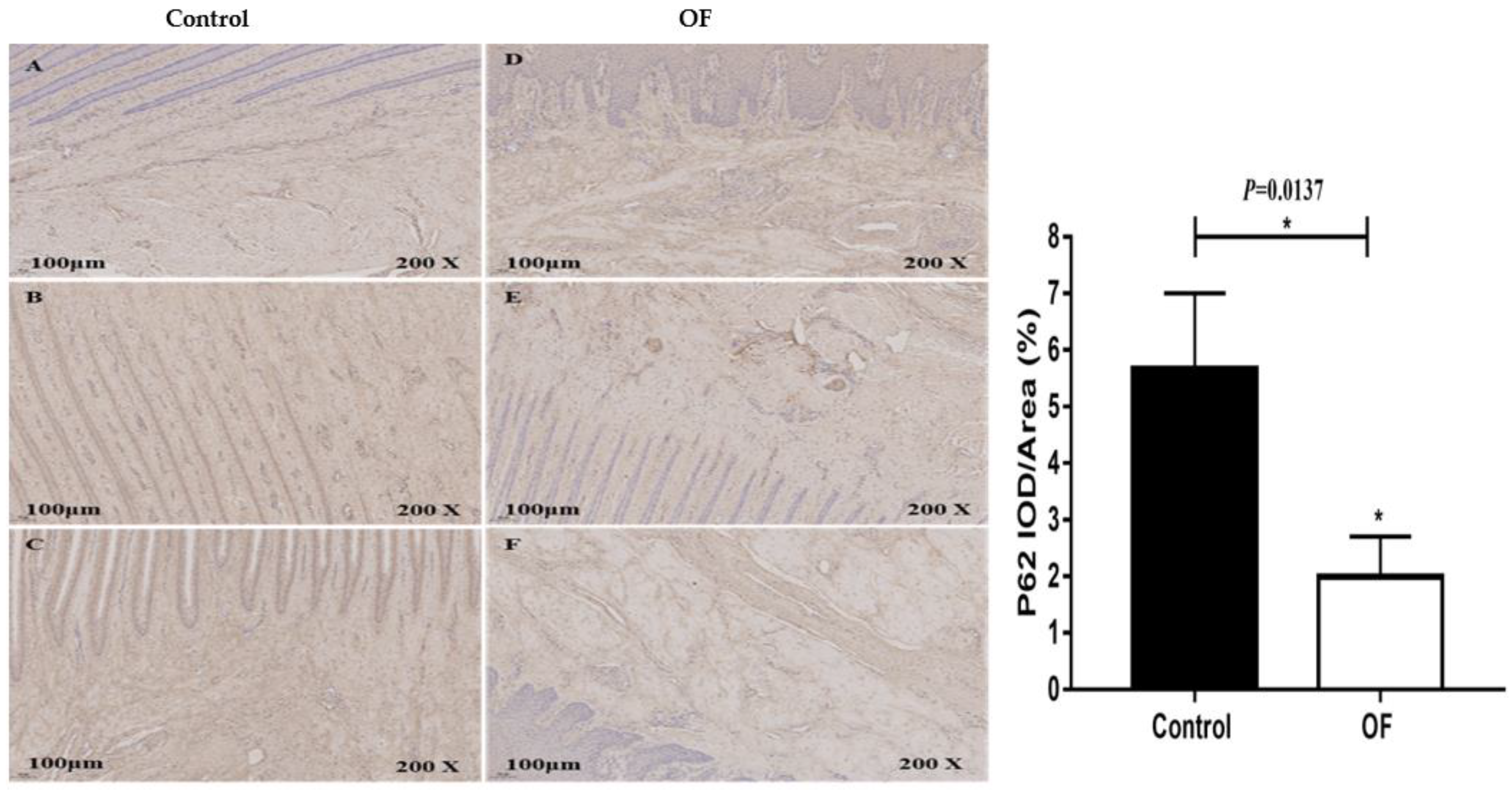 Preprints 77491 g004