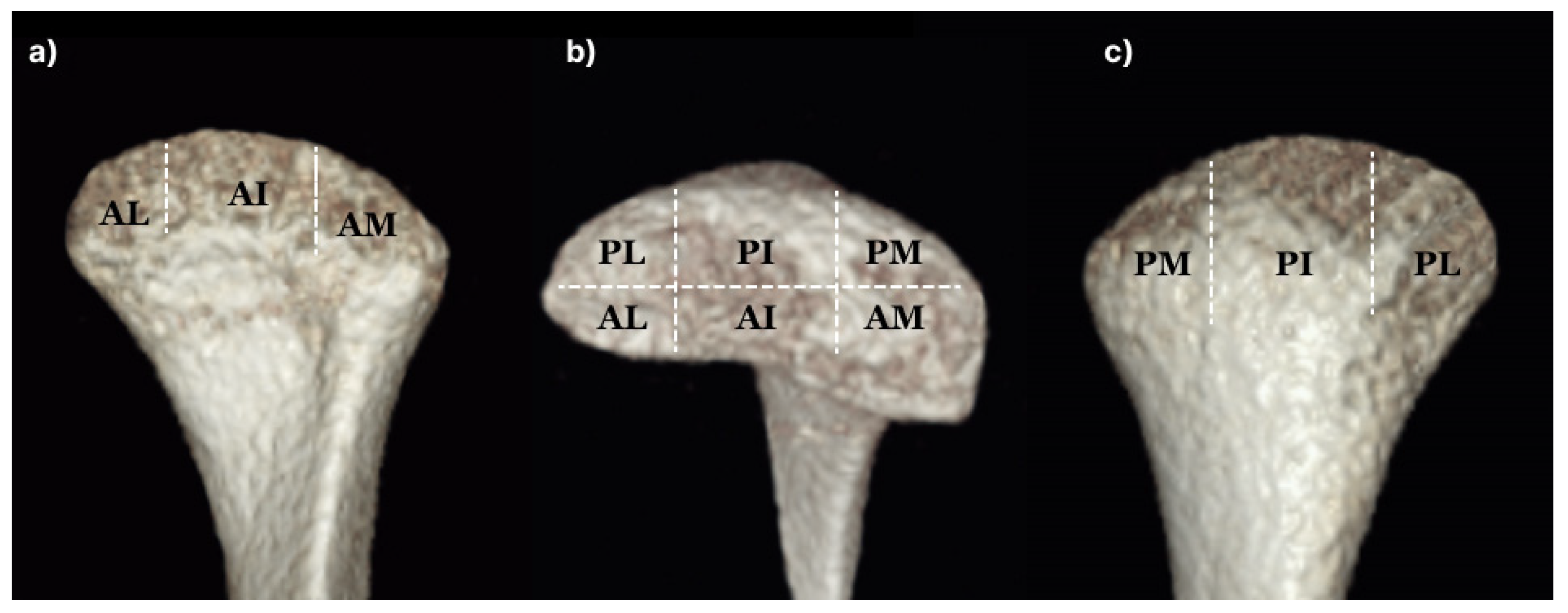 Preprints 80496 g002