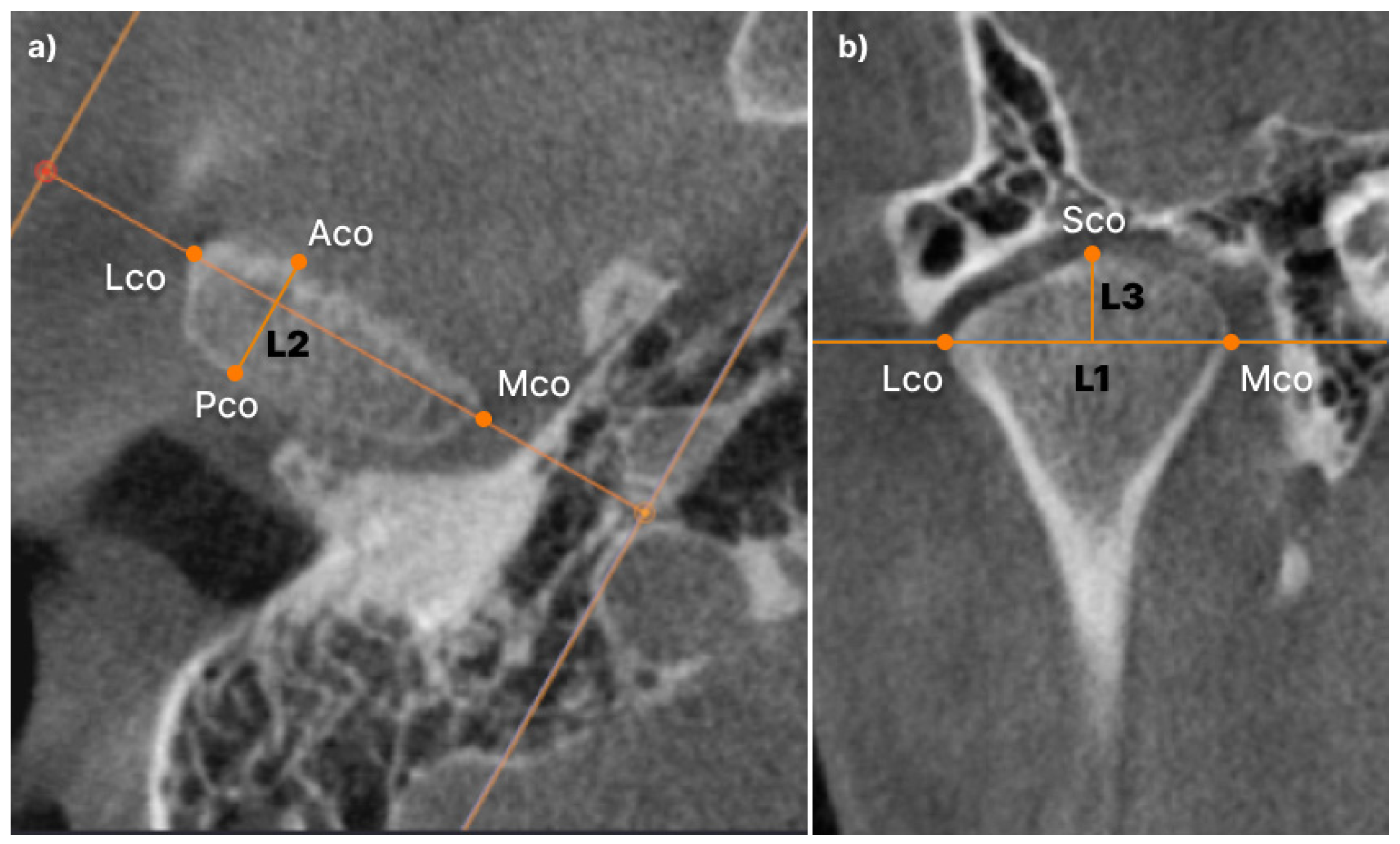 Preprints 80496 g003