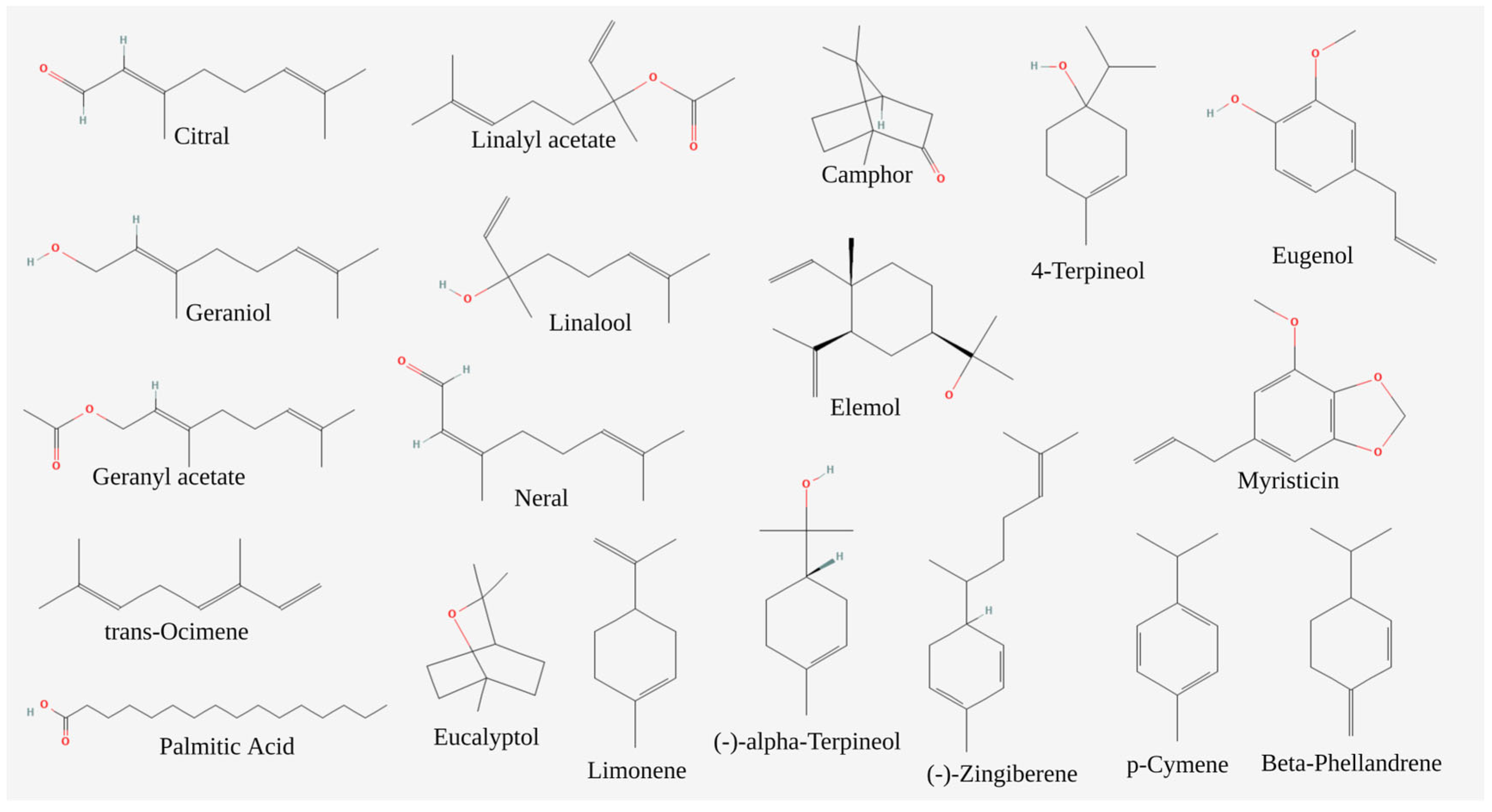 Preprints 91919 g001