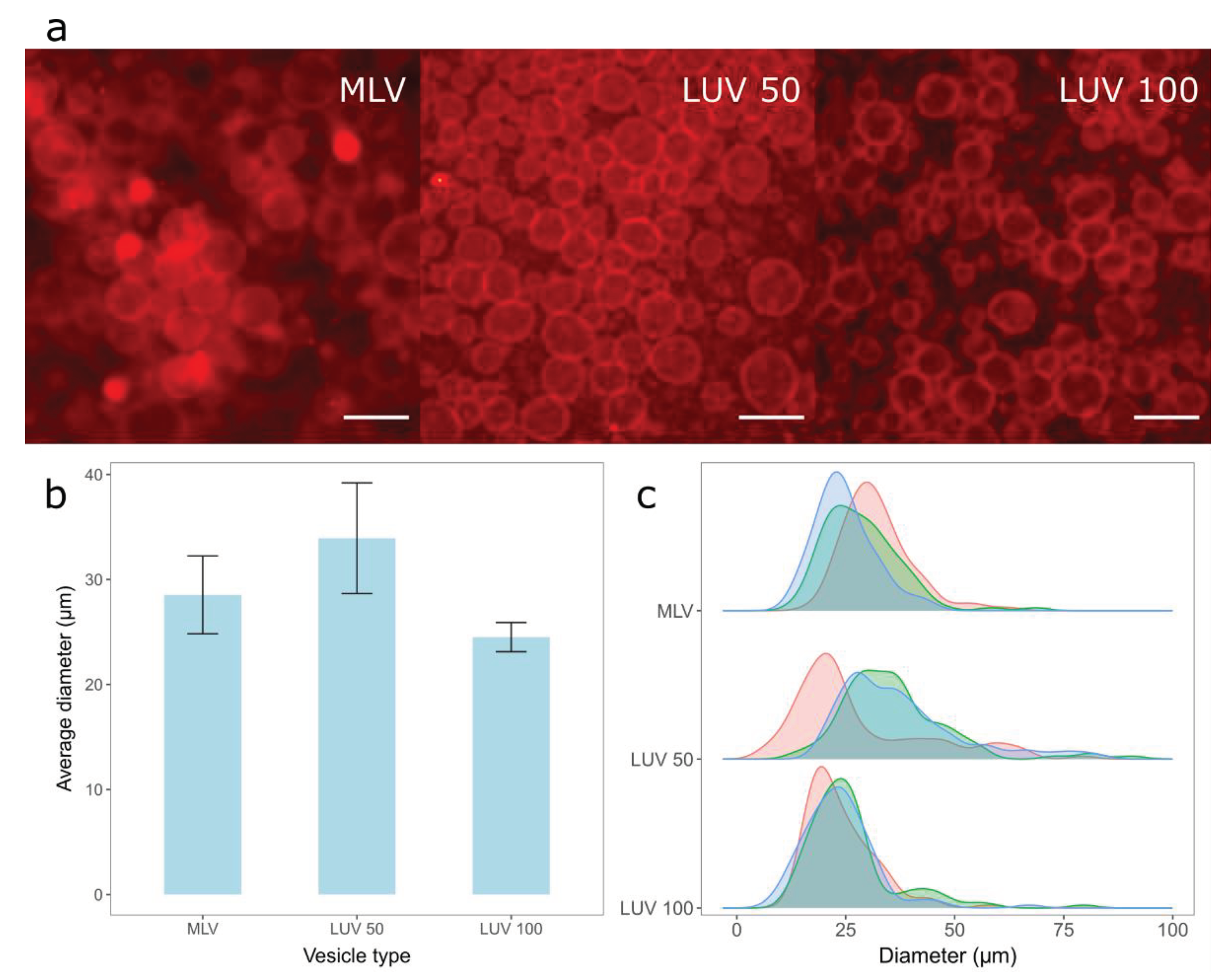 Preprints 99627 g002