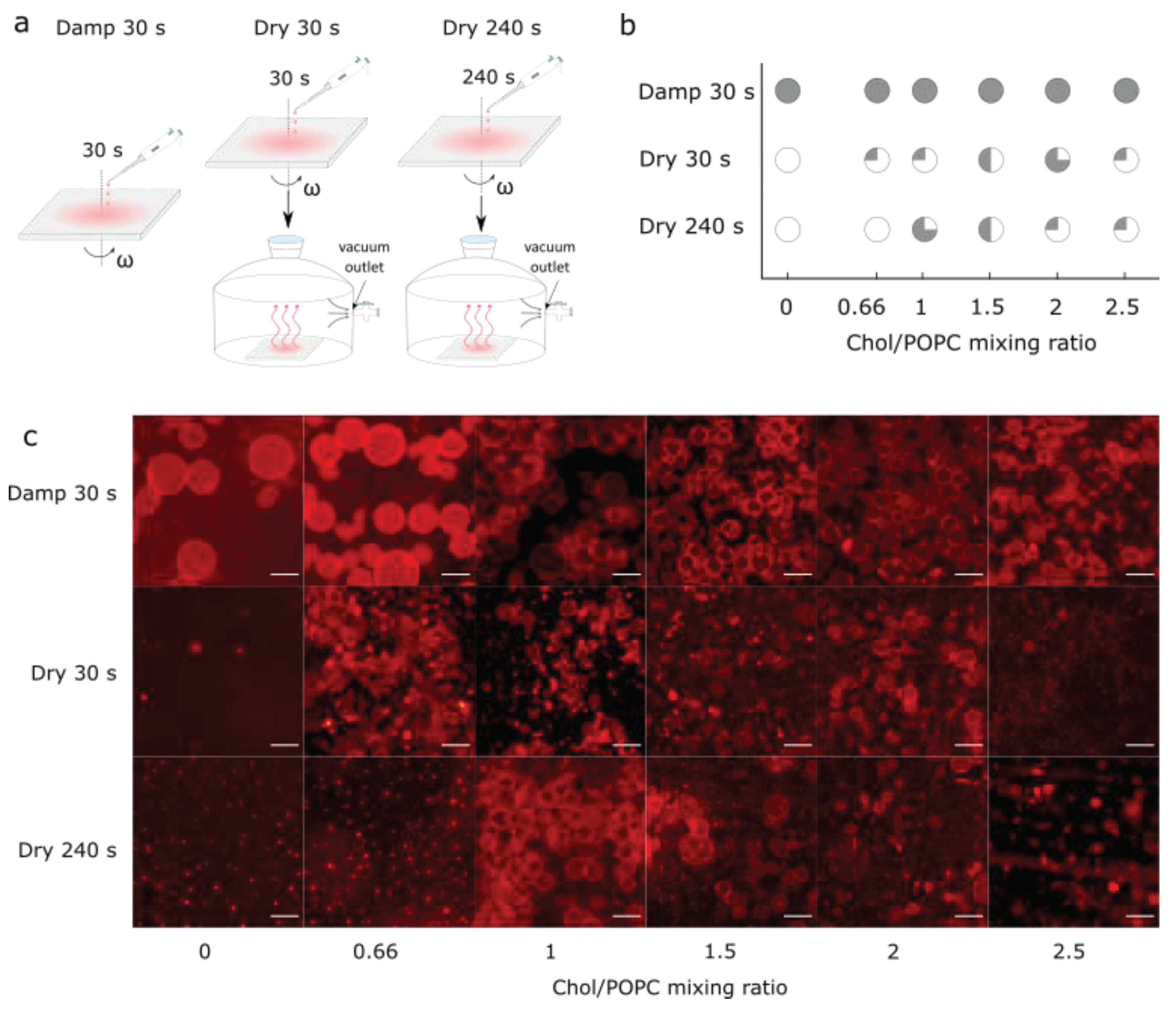 Preprints 99627 g004