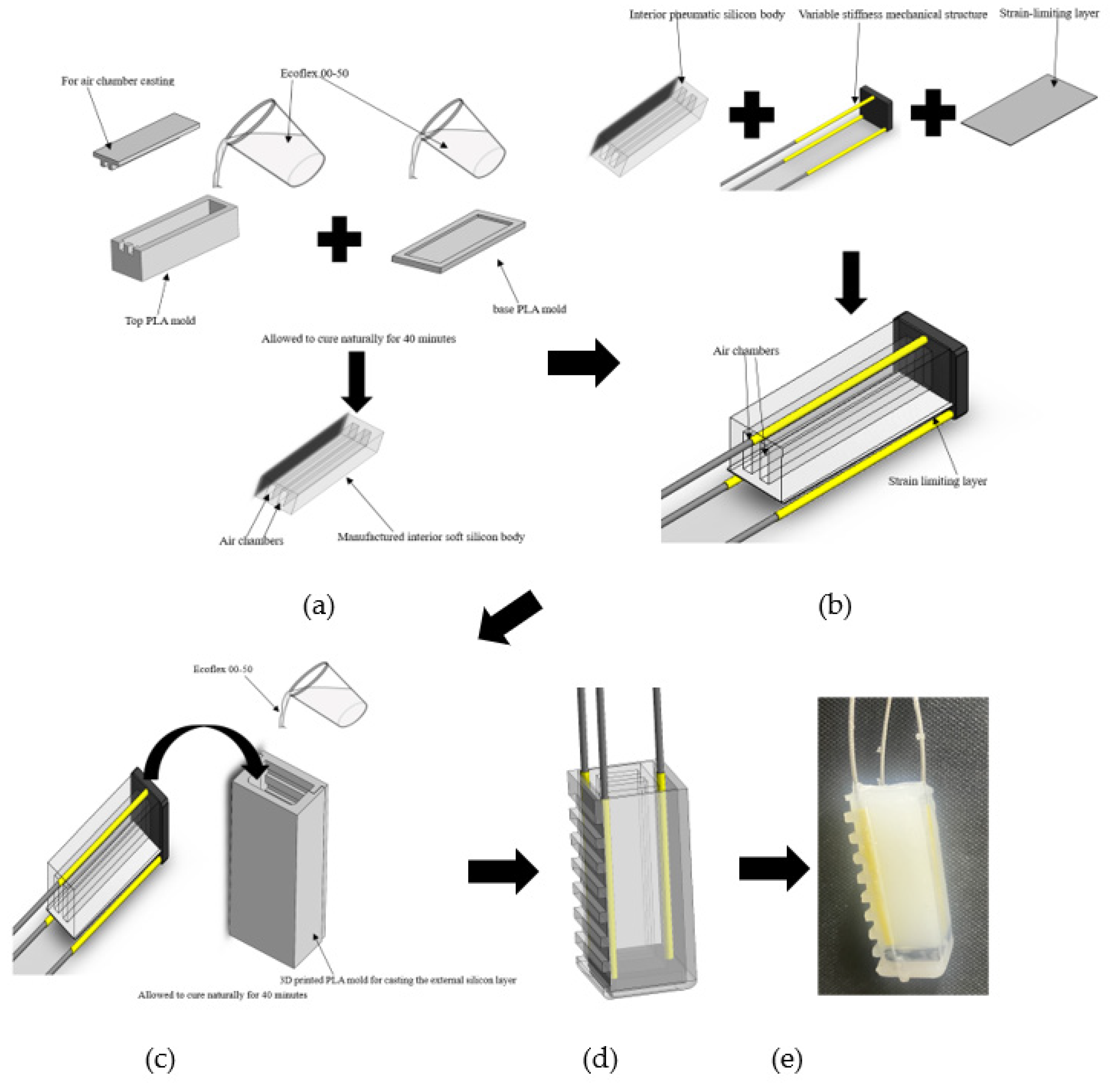 Preprints 81004 g004