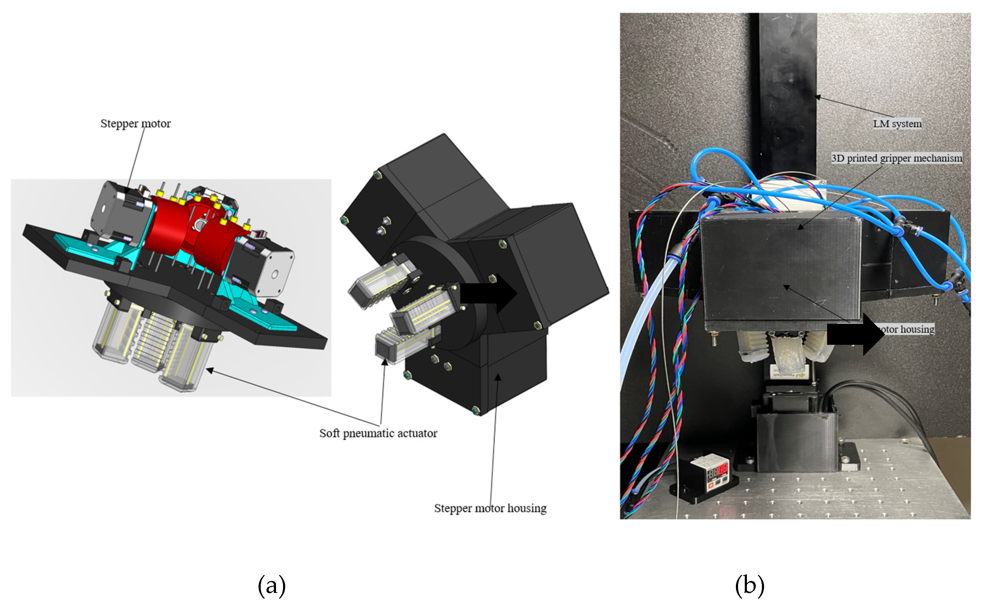 Preprints 81004 g005