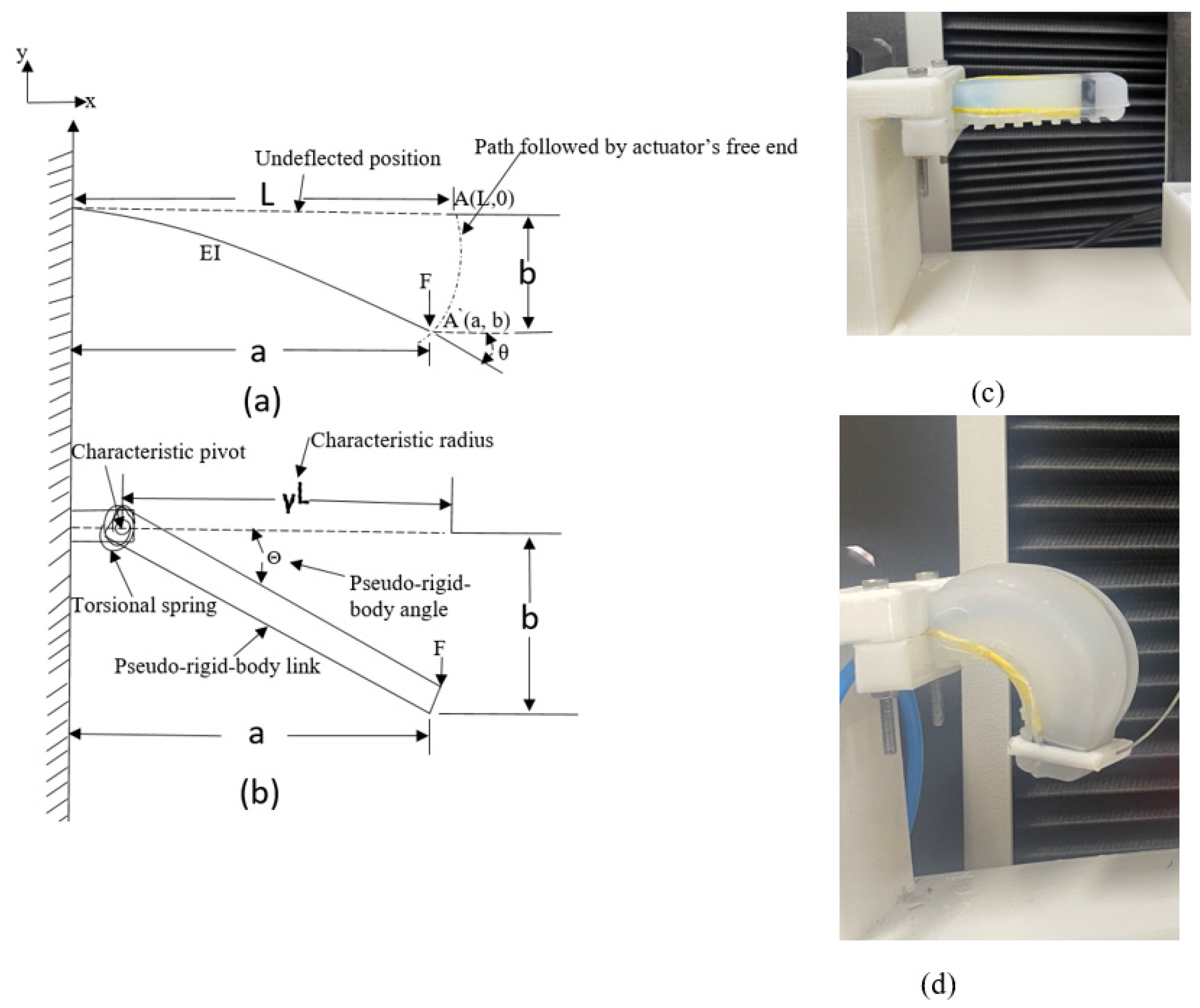 Preprints 81004 g006