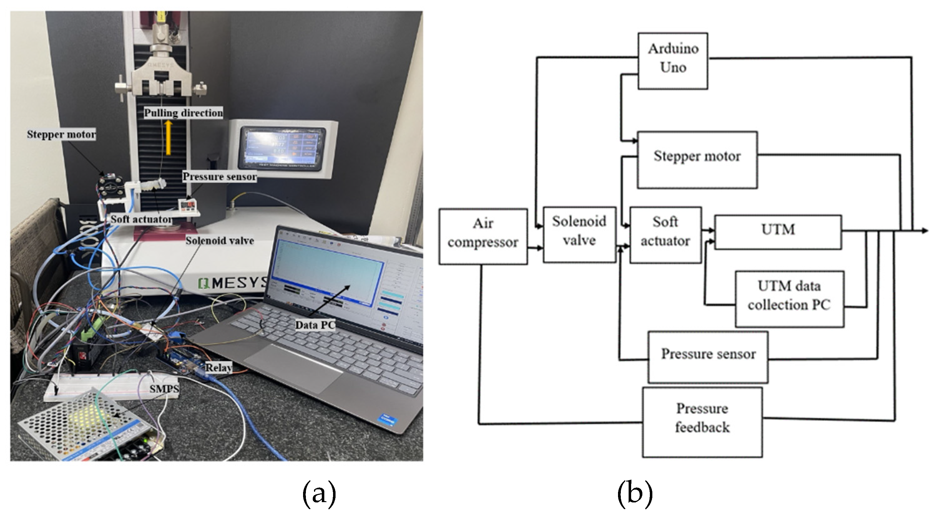 Preprints 81004 g008