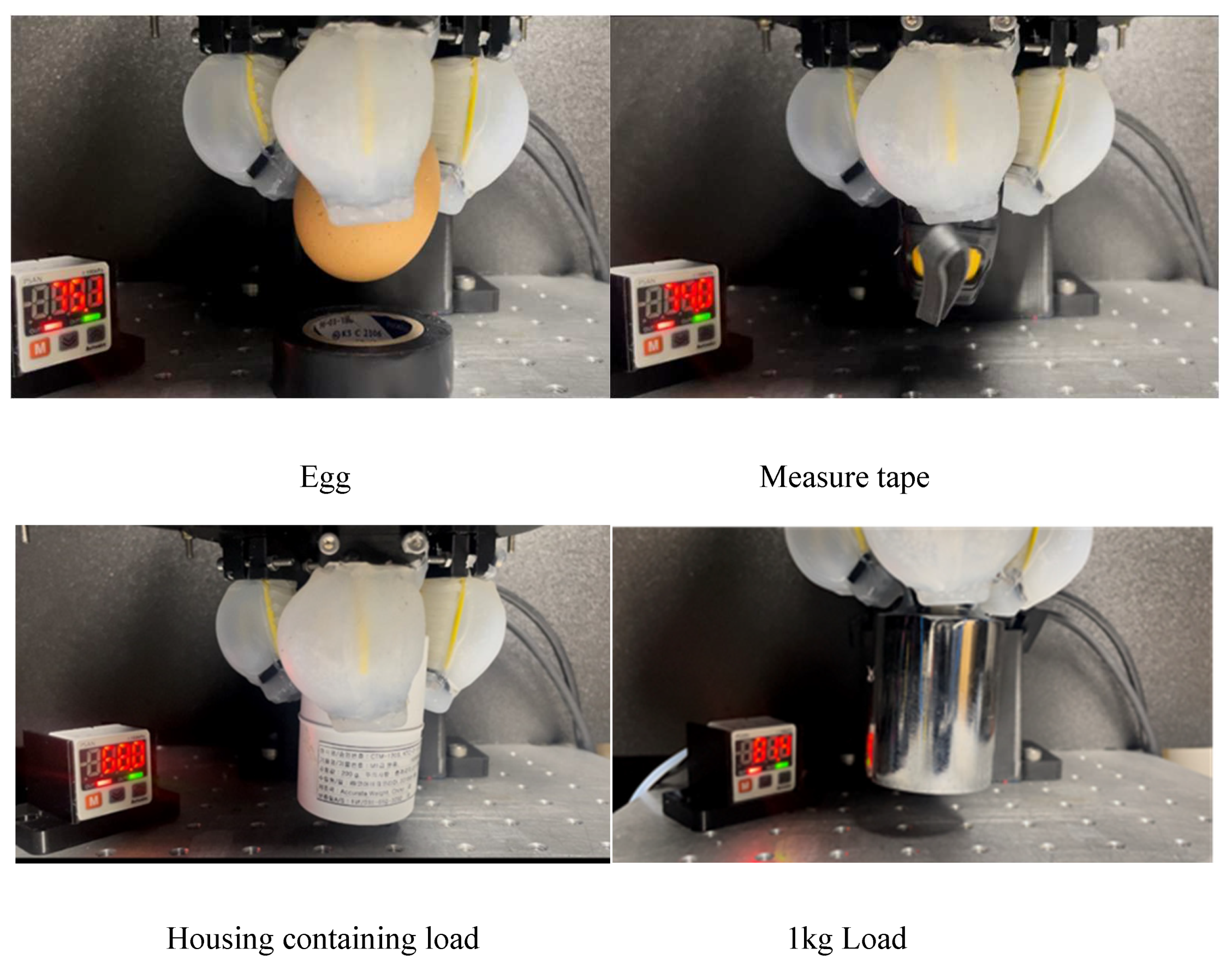 Preprints 81004 g012