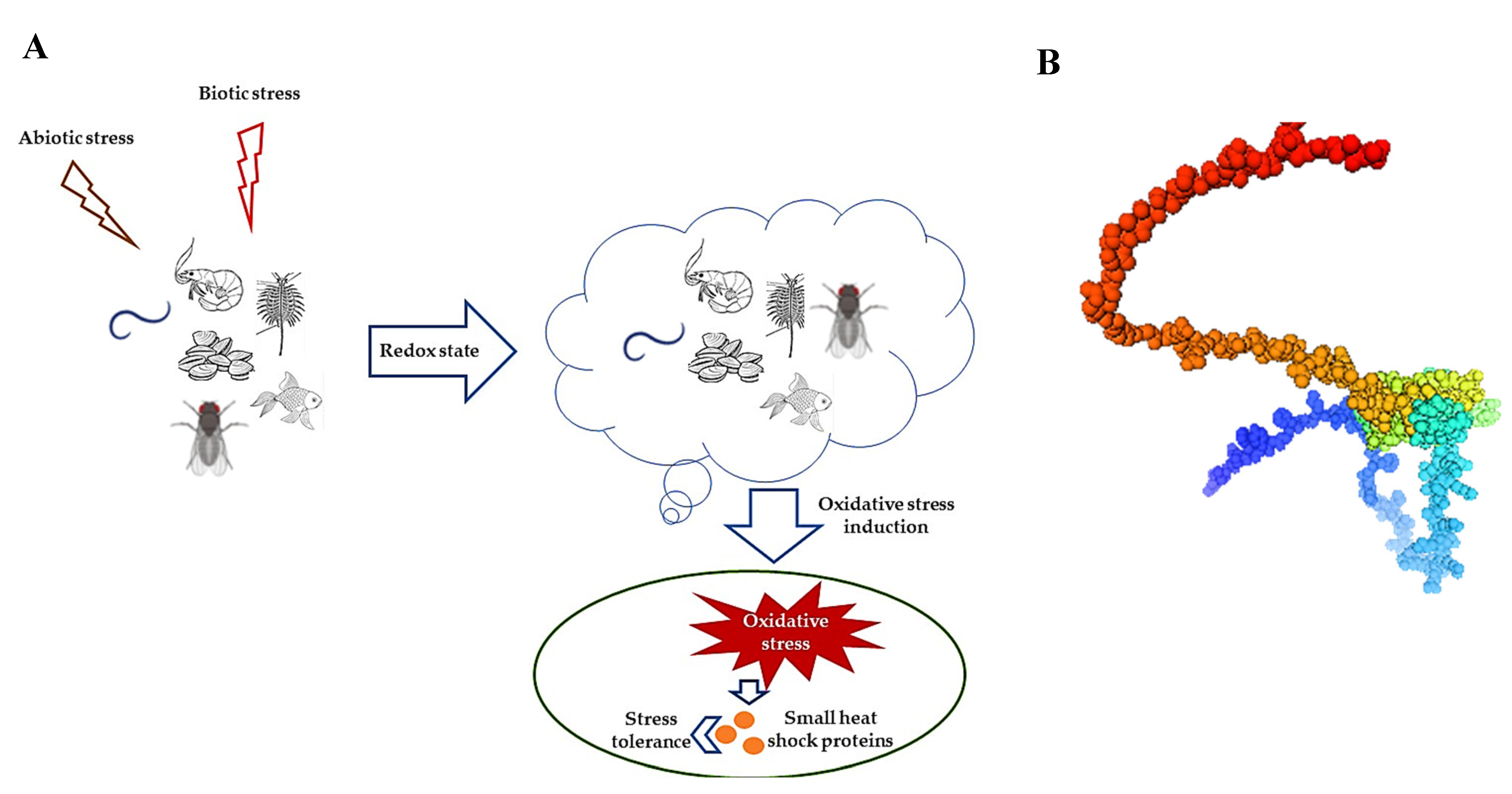 Preprints 121780 g001