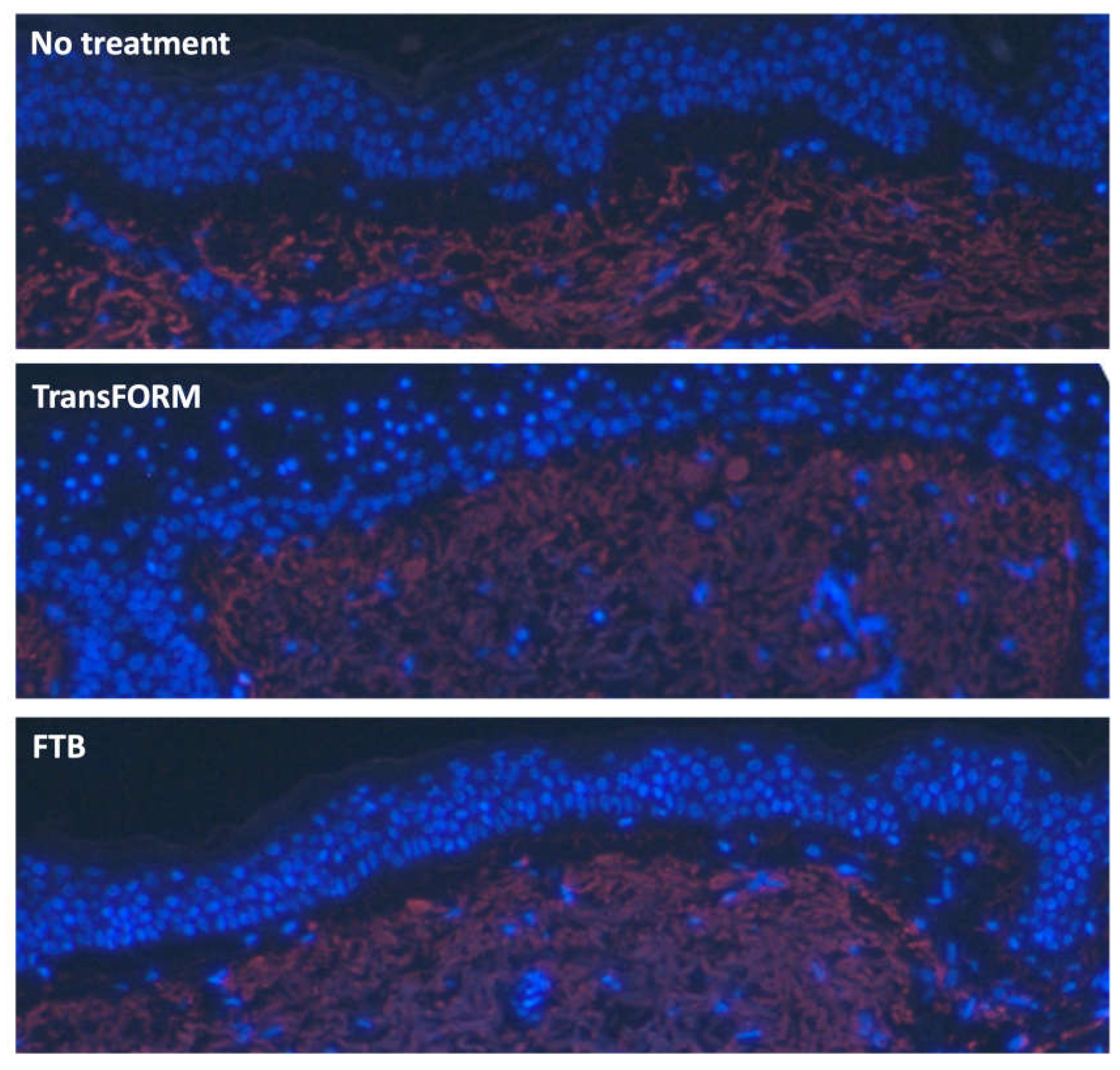 Preprints 112712 g004