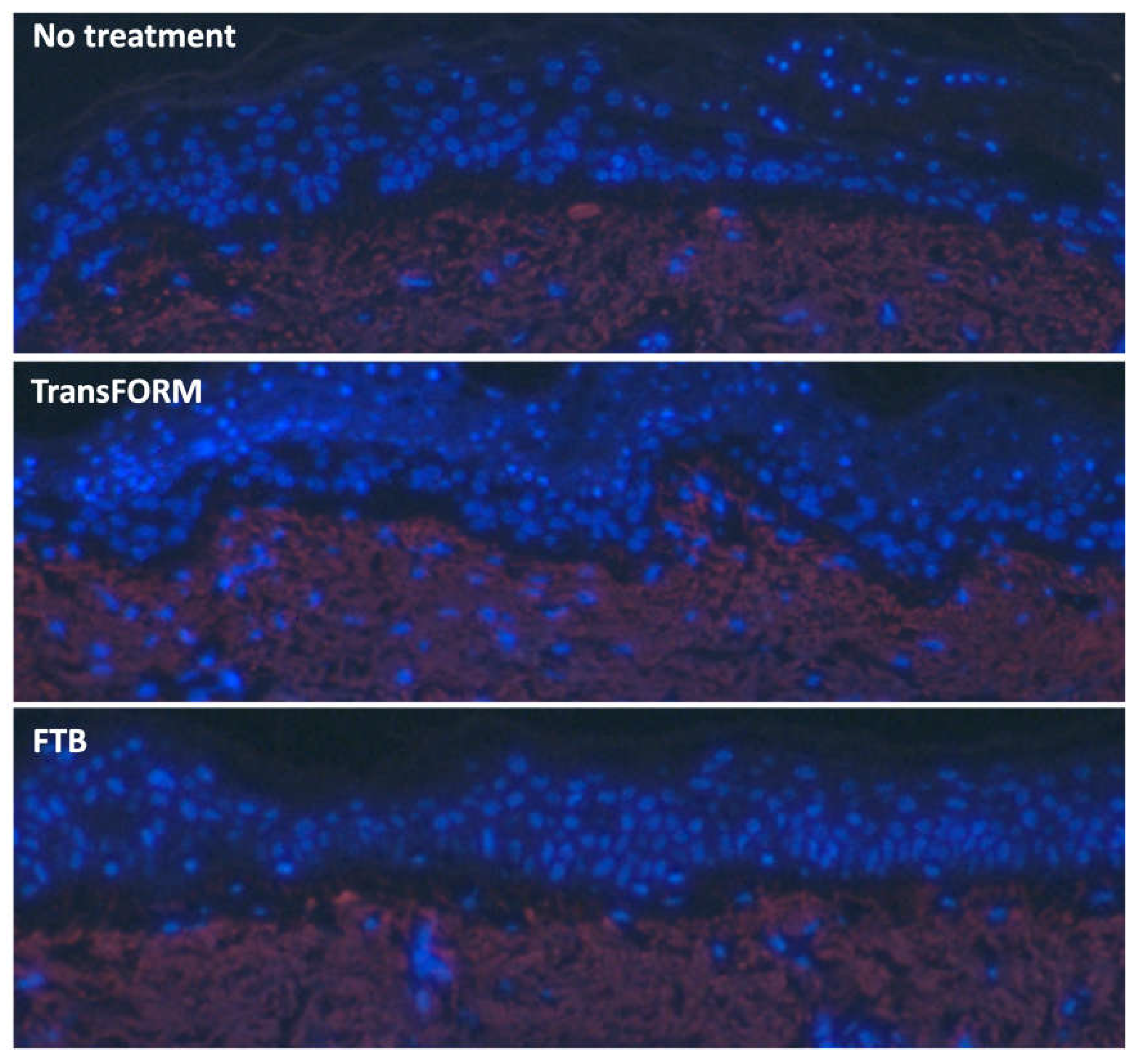 Preprints 112712 g005