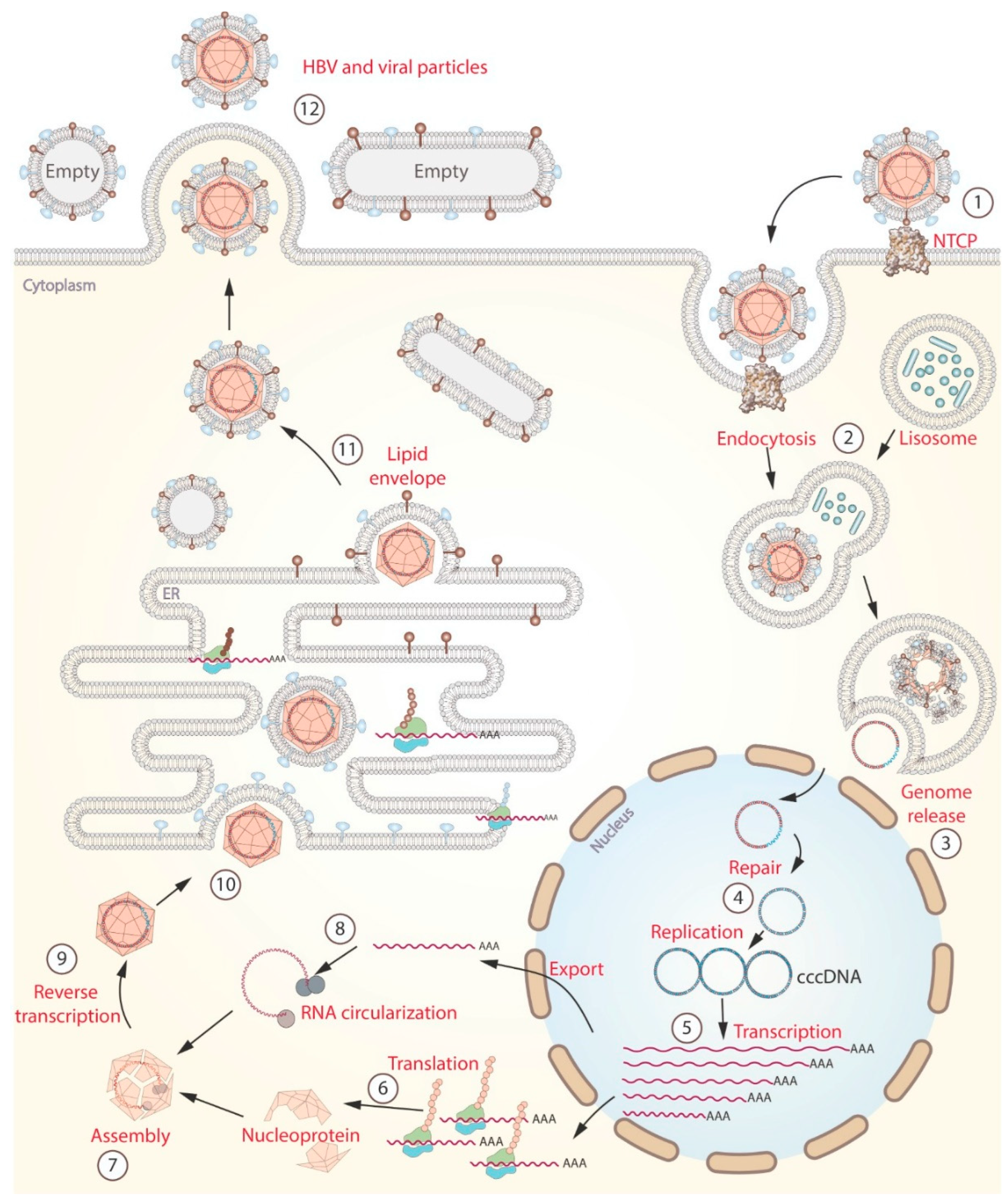 Preprints 82234 g001