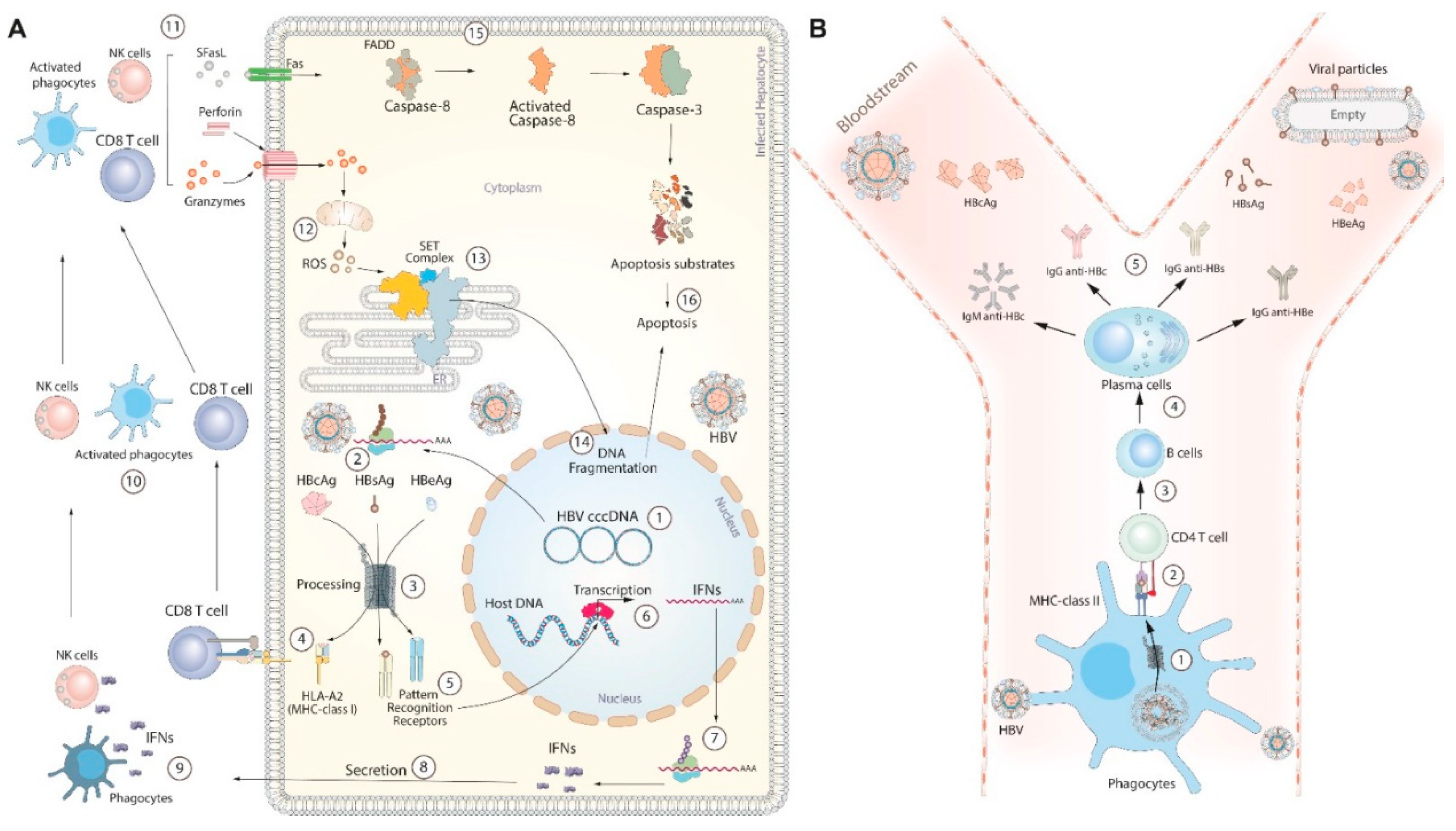 Preprints 82234 g002