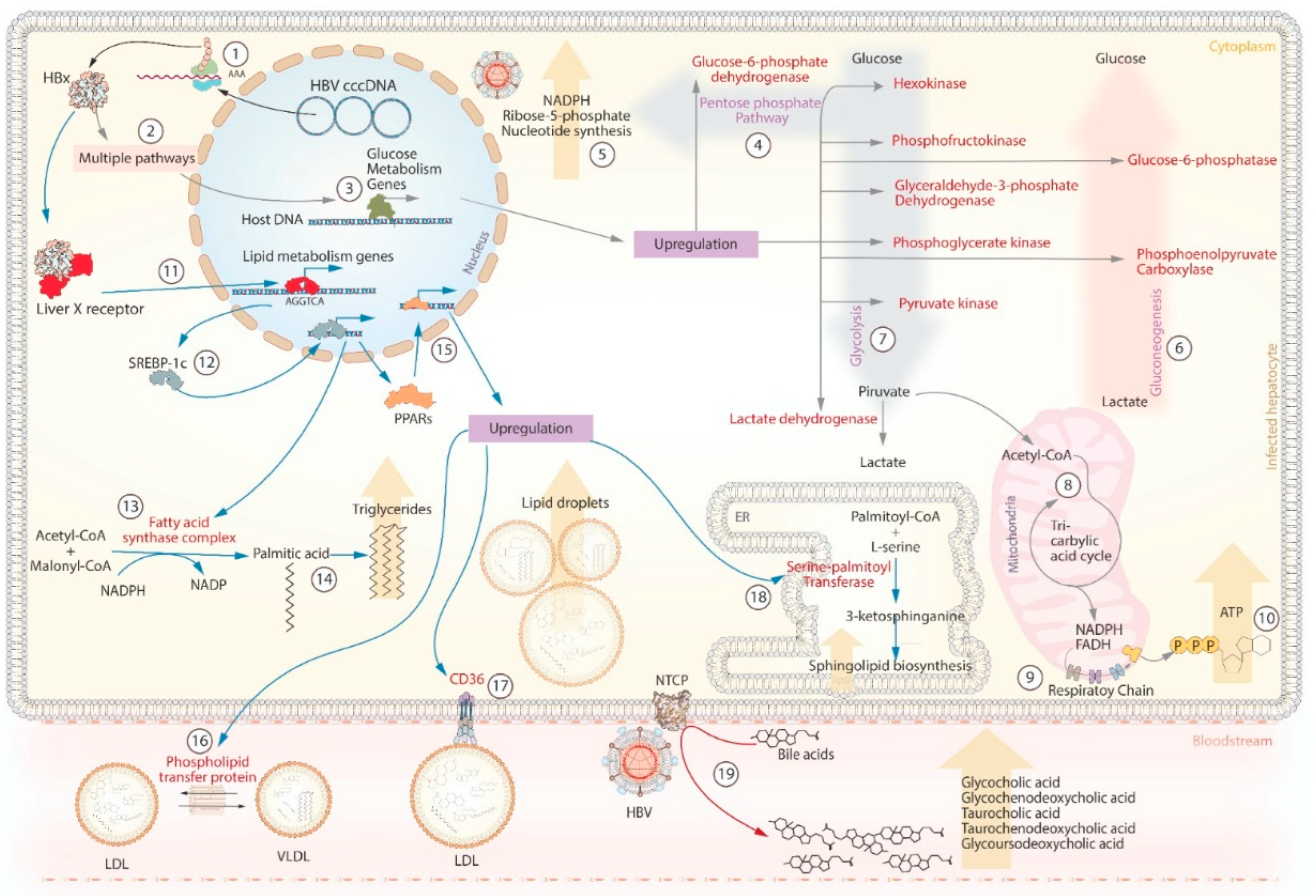 Preprints 82234 g003