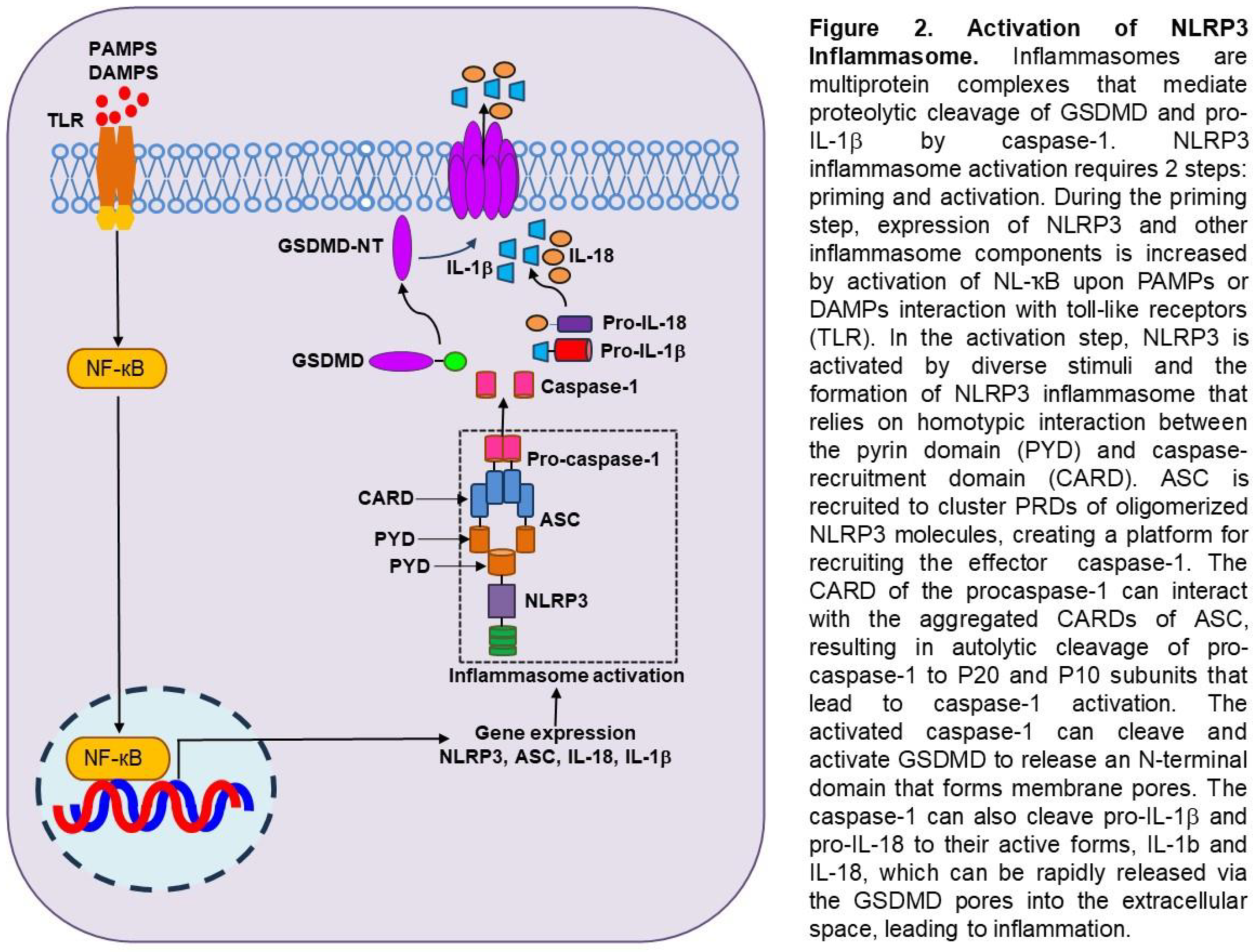 Preprints 120655 g002