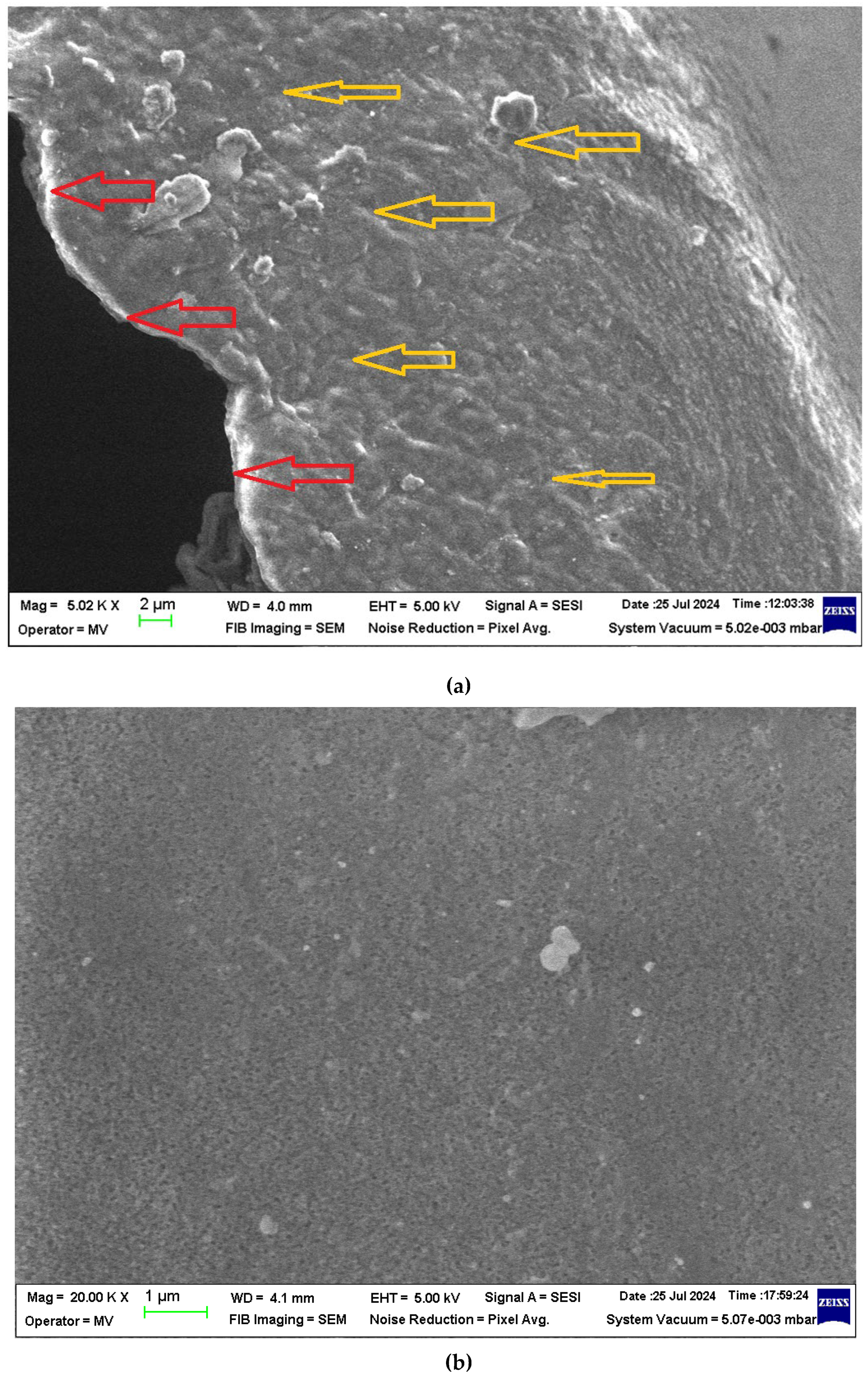 Preprints 119389 g003