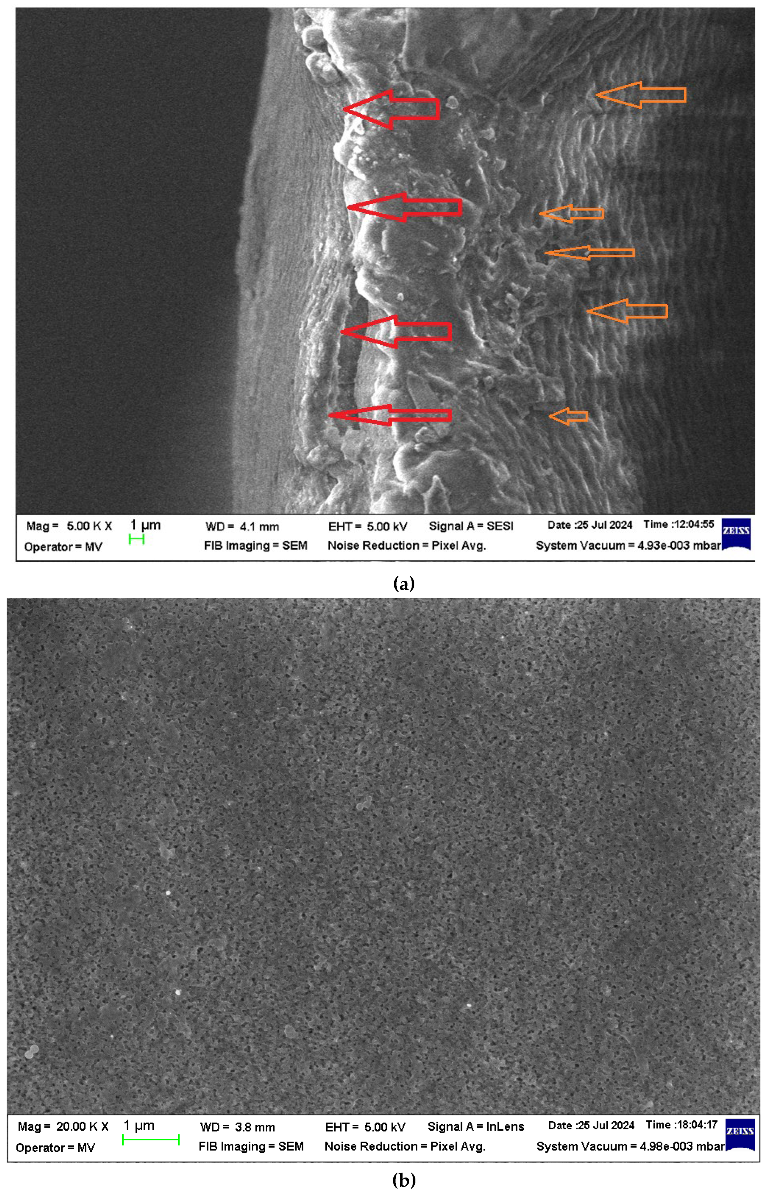 Preprints 119389 g004a