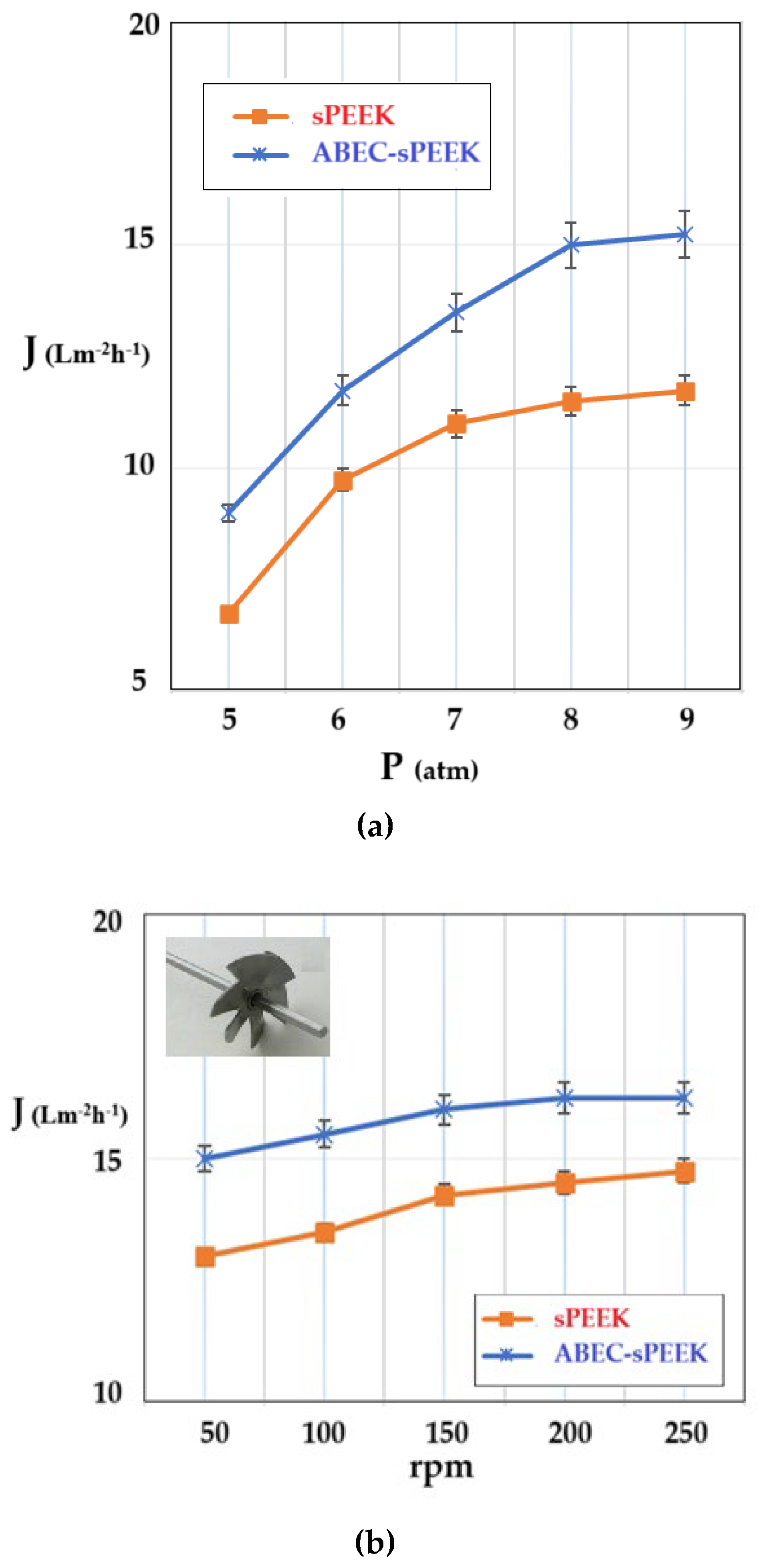 Preprints 119389 g009