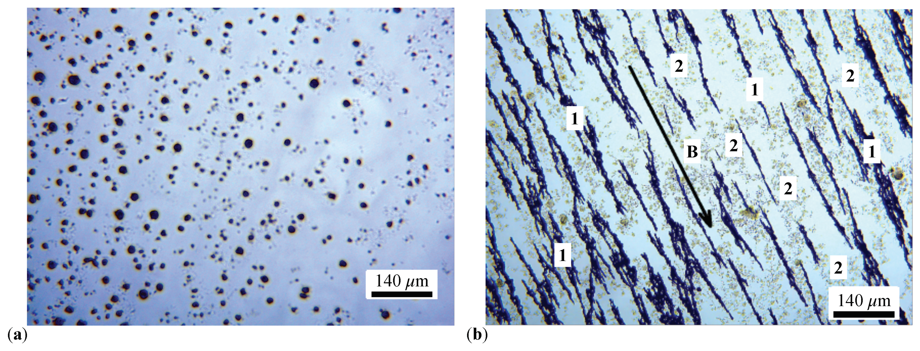 Preprints 110748 g001