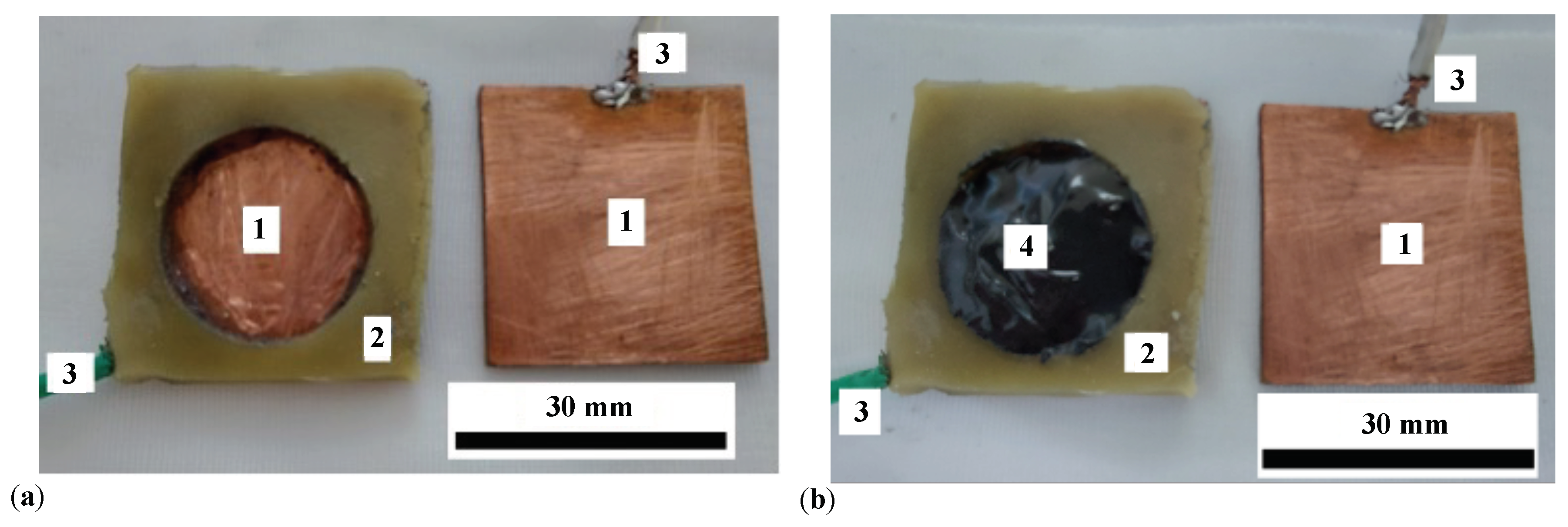 Preprints 110748 g002