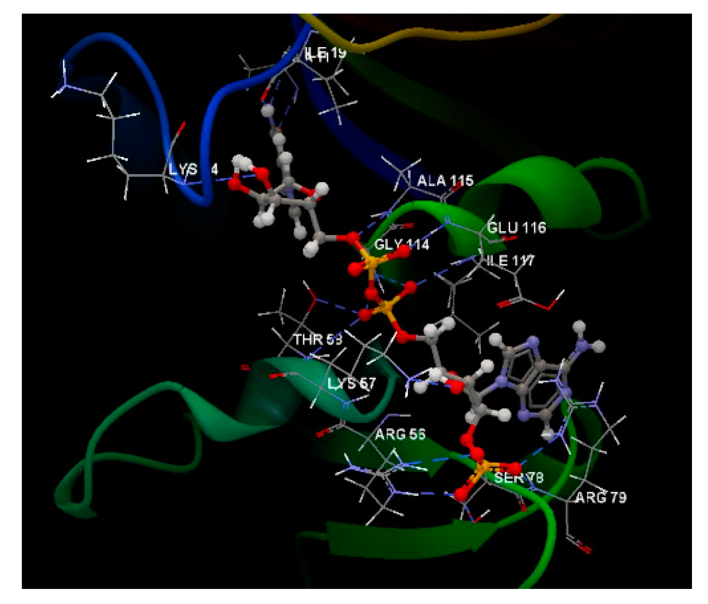 Preprints 102587 g020