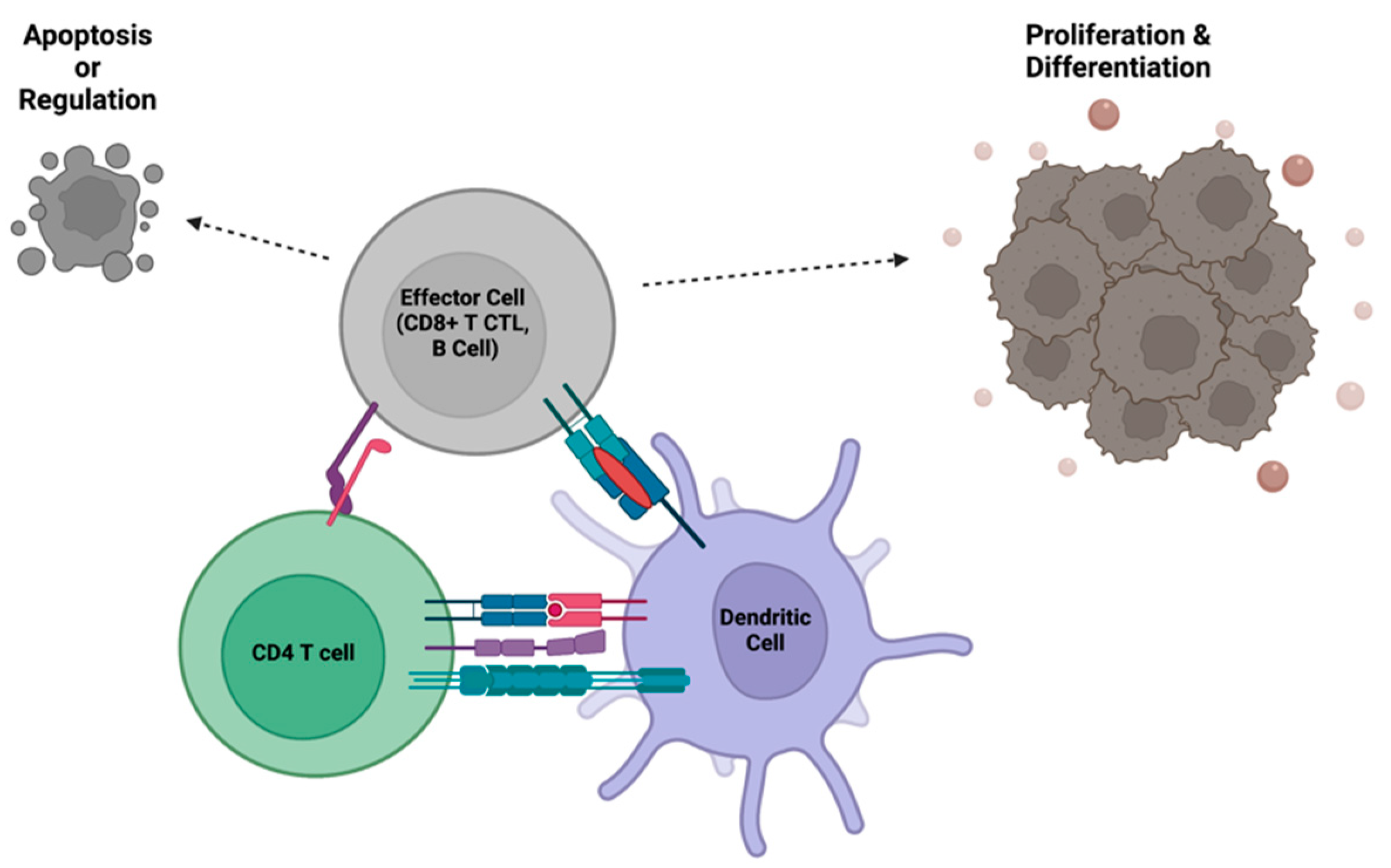 Preprints 80779 g003