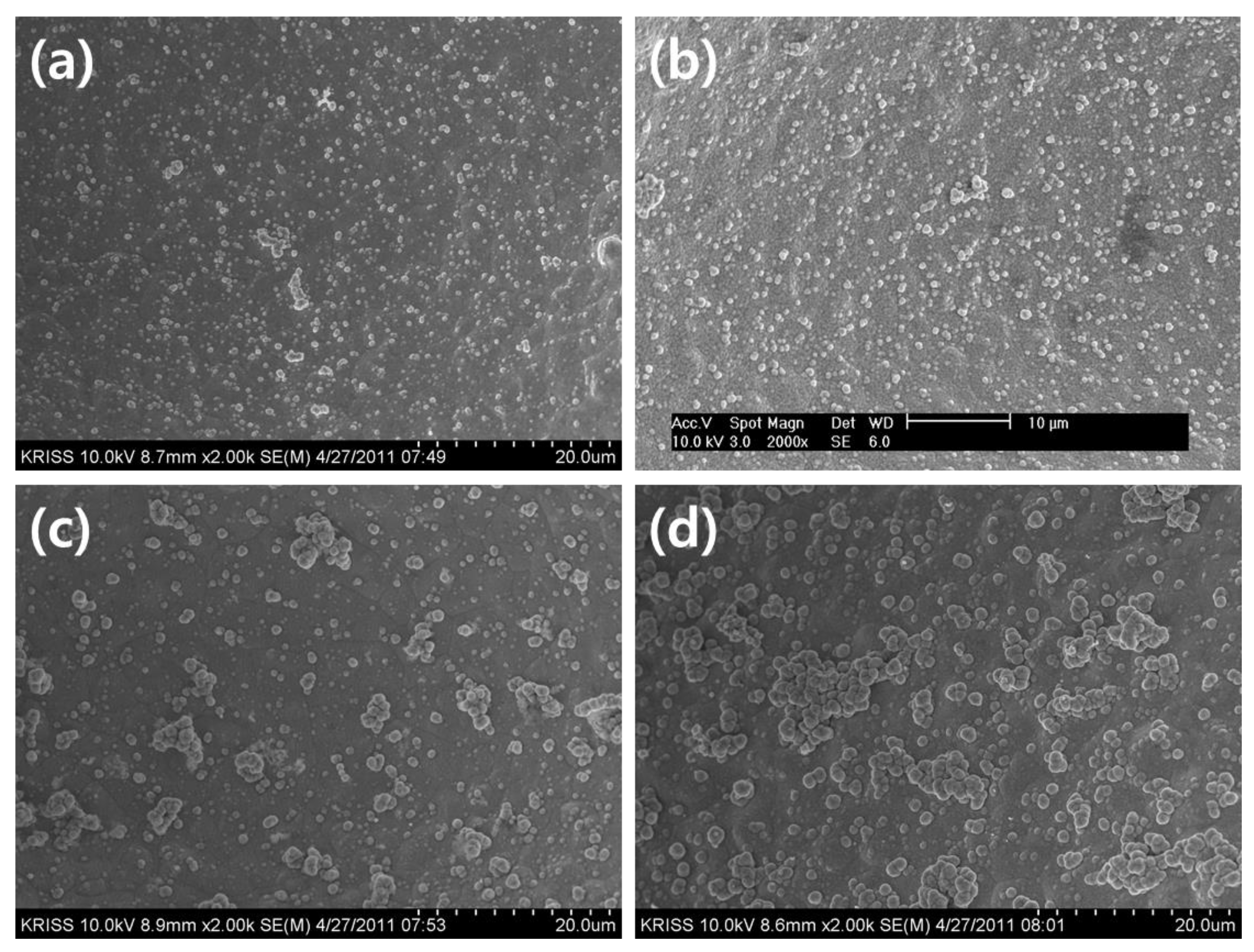 Preprints 116616 g001