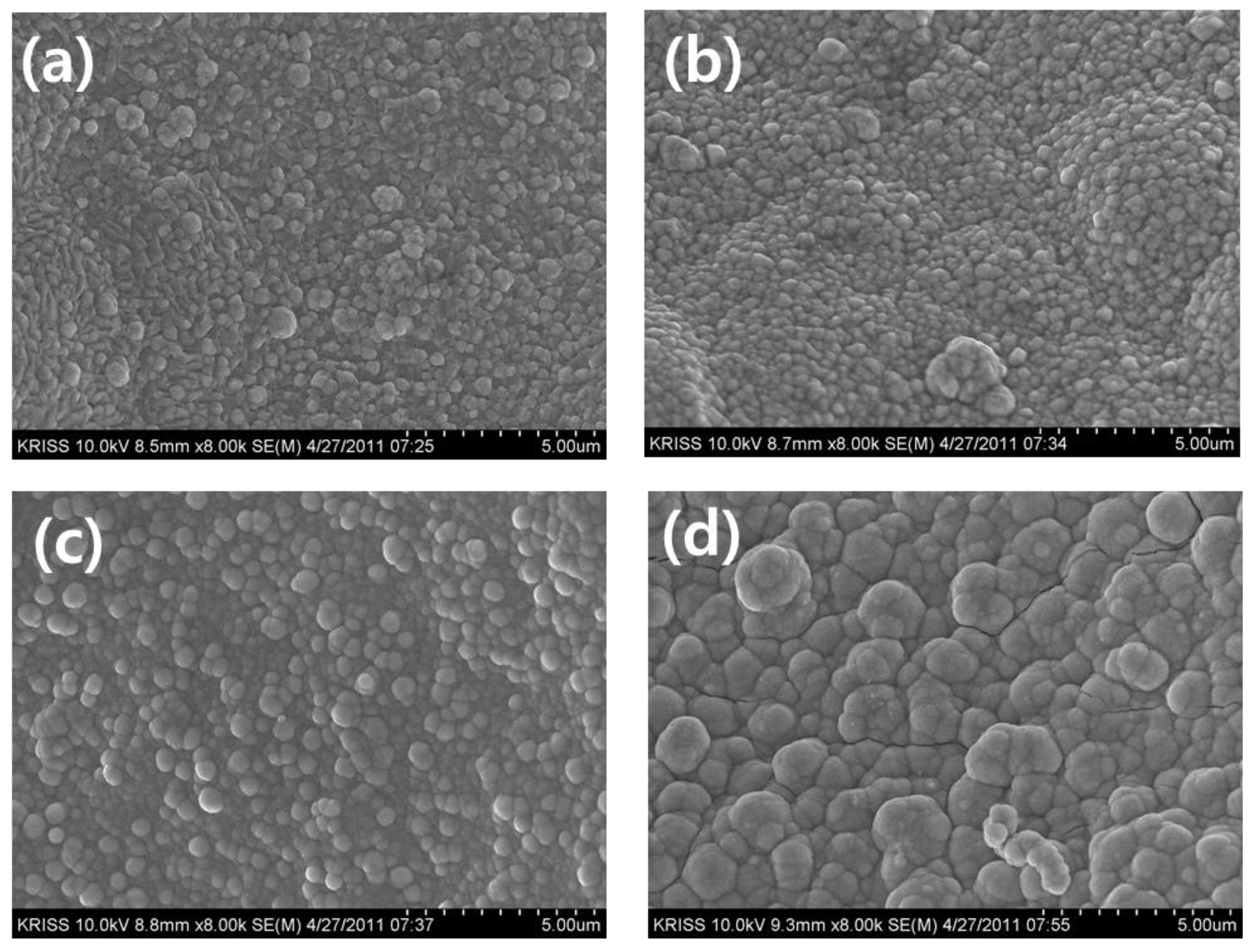 Preprints 116616 g003