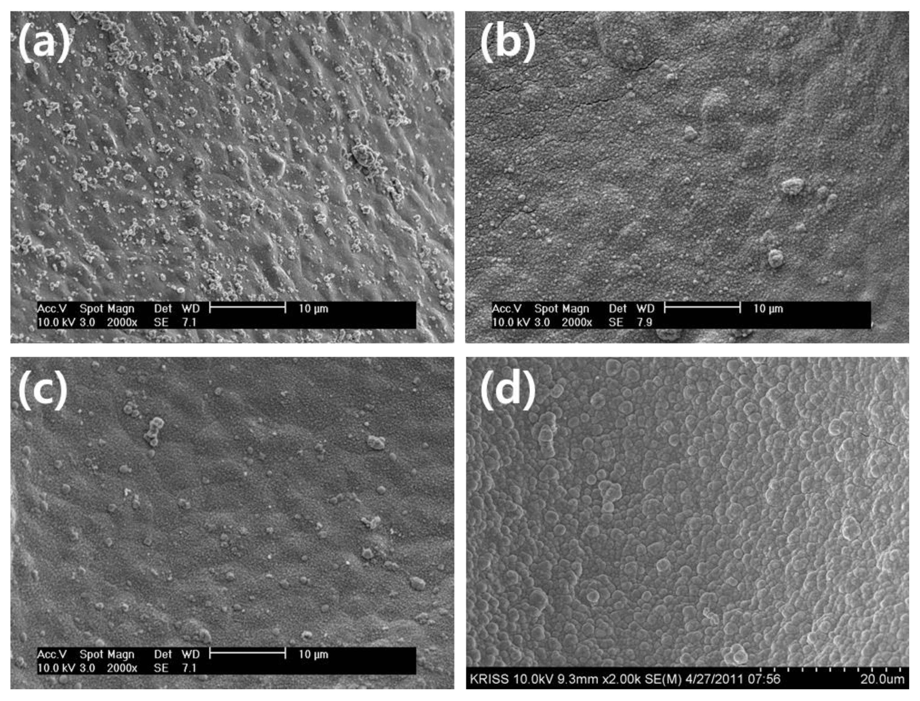 Preprints 116616 g005