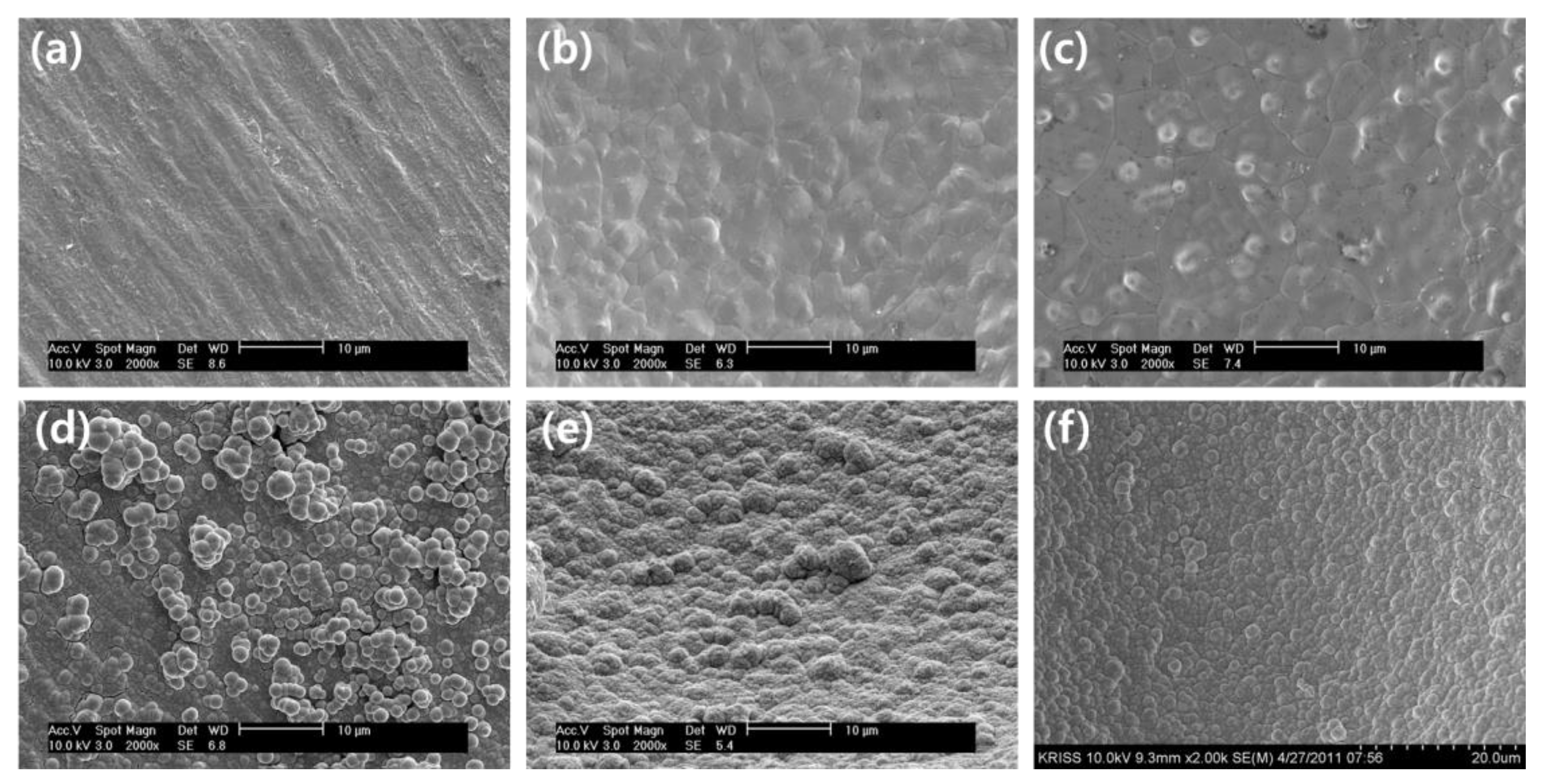 Preprints 116616 g007