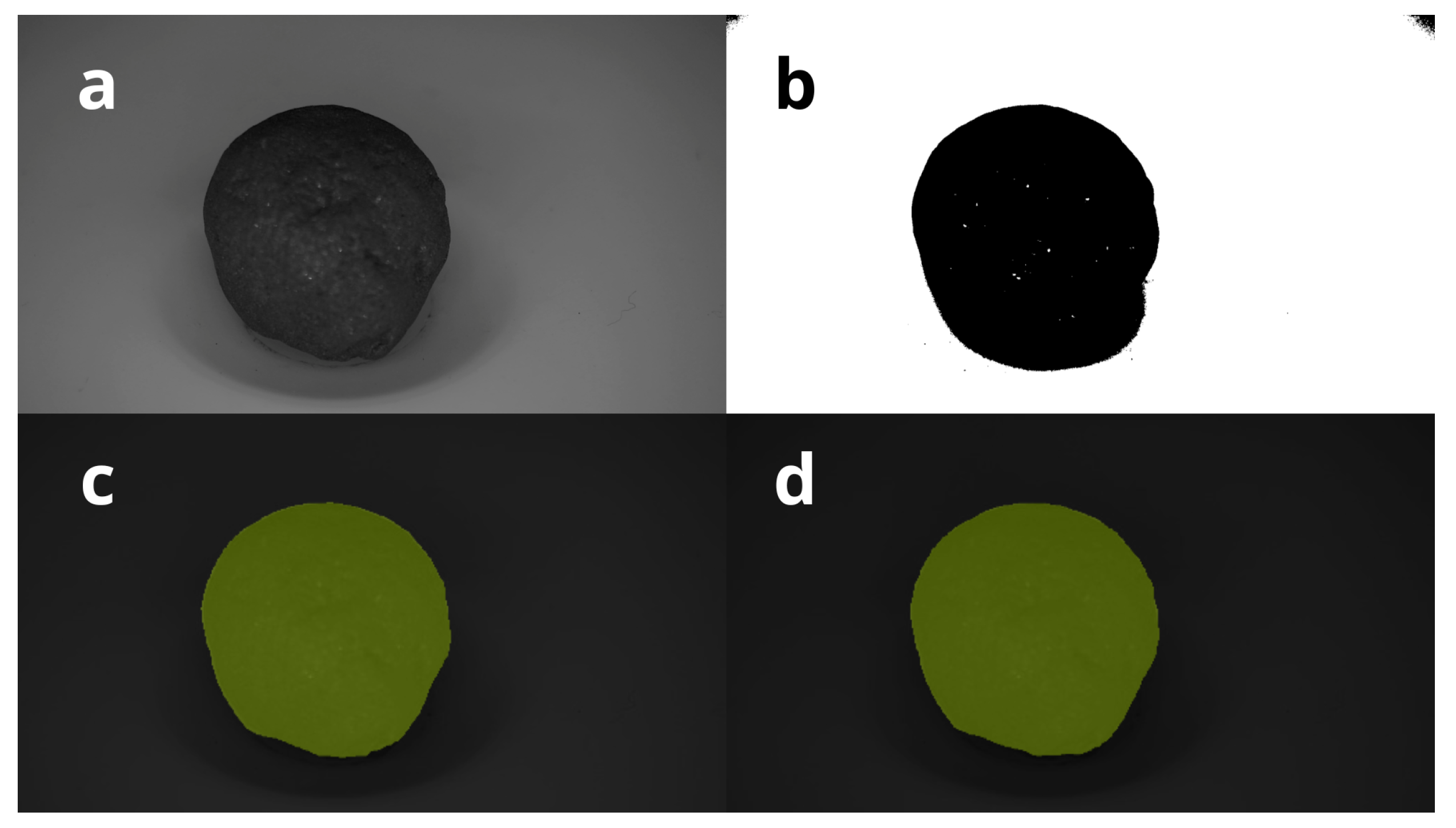 Preprints 86476 g006