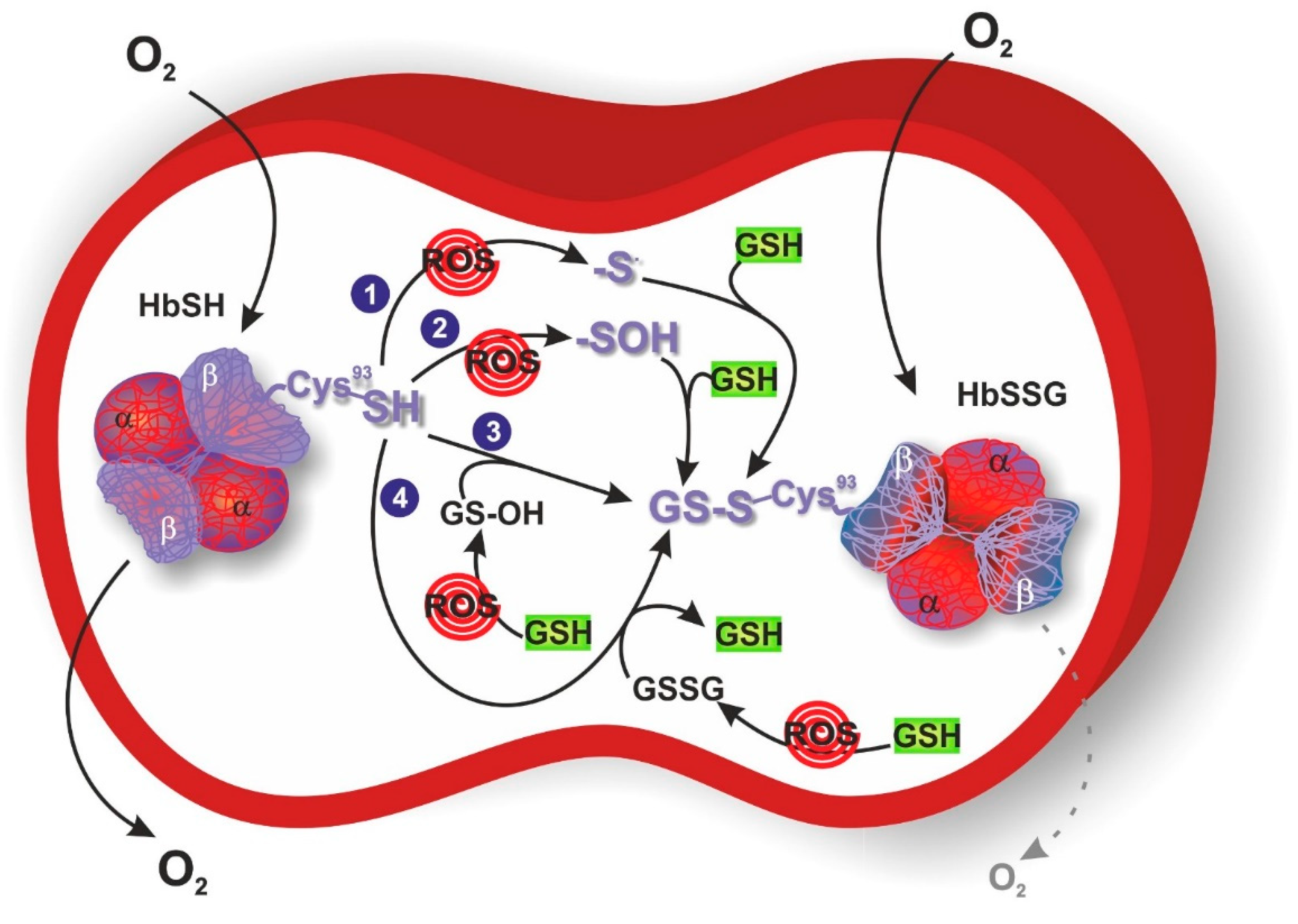 Preprints 88321 g001