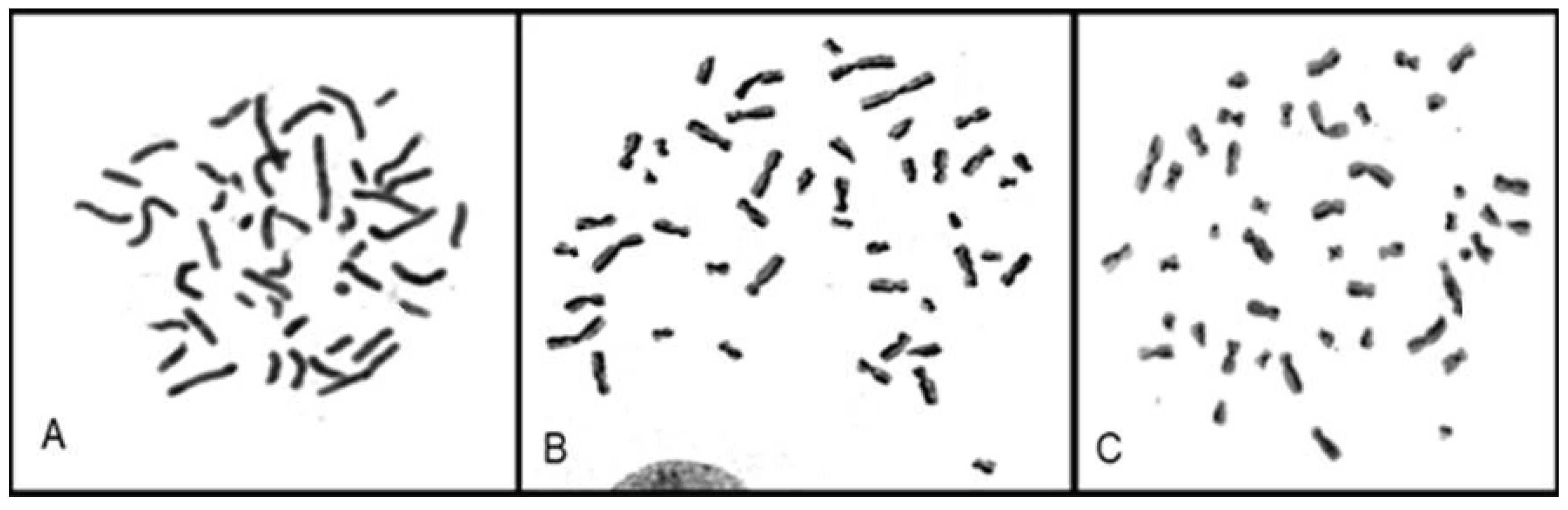 Preprints 99928 g004