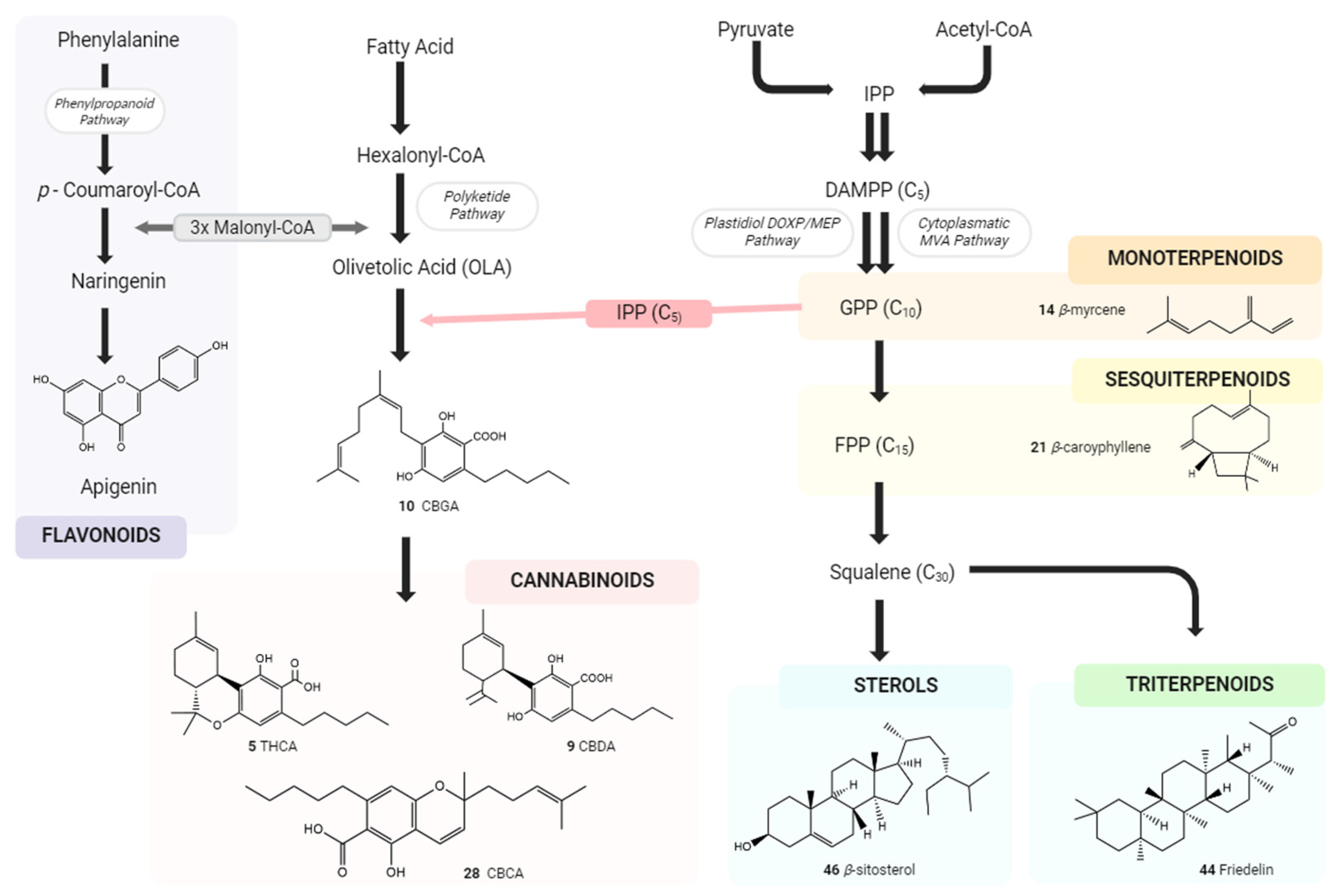 Preprints 118182 g010