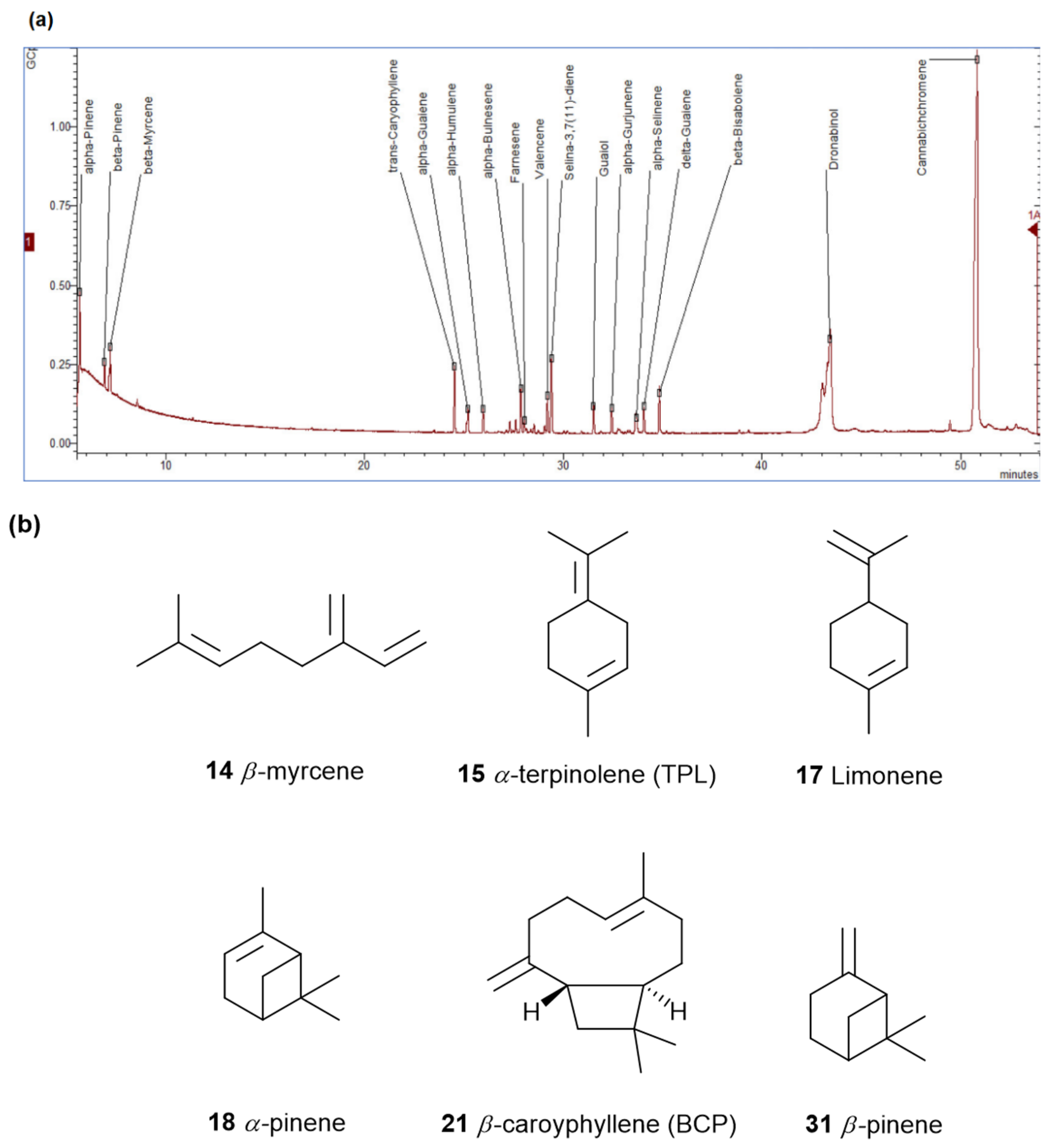 Preprints 118182 g011