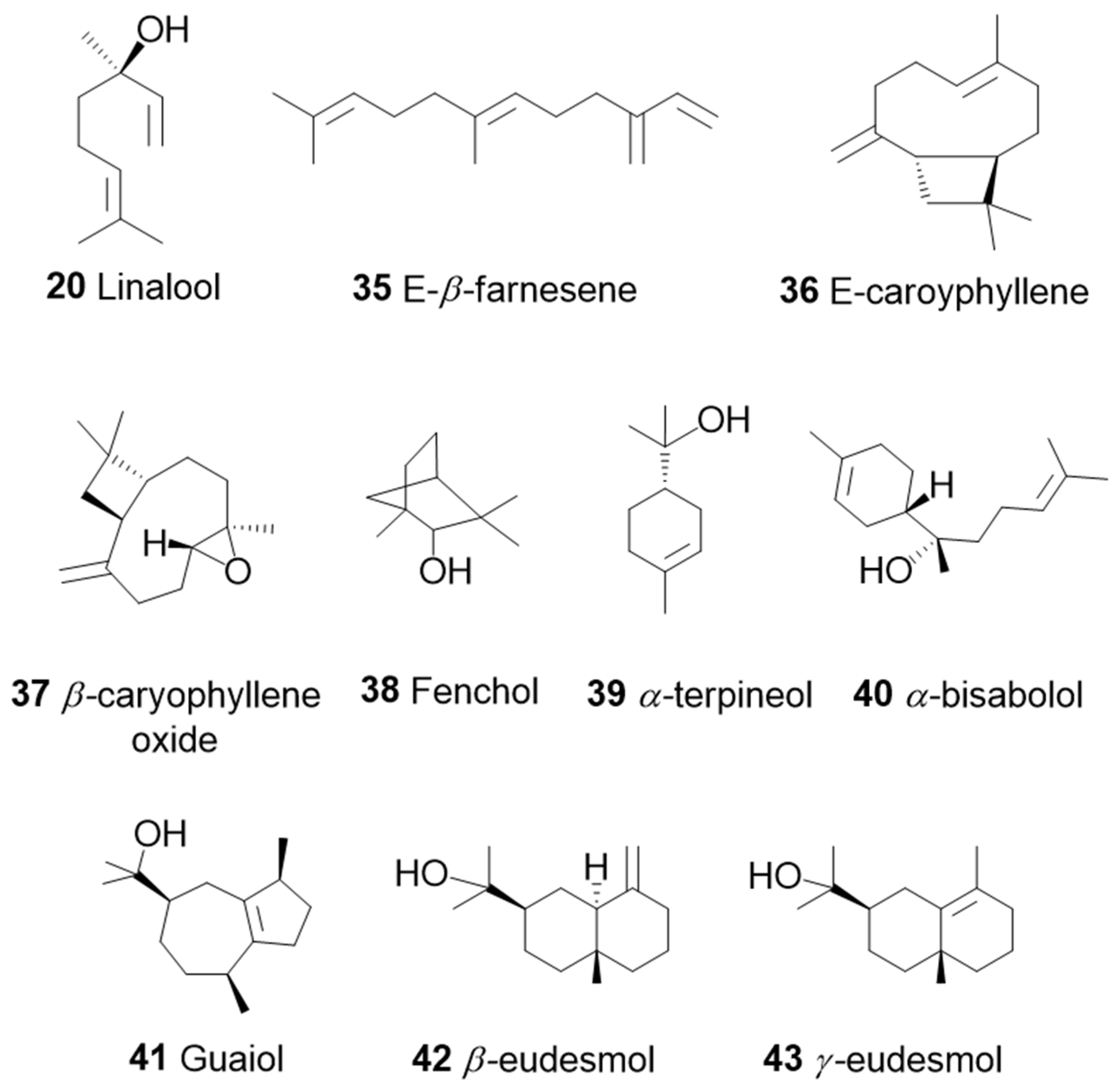 Preprints 118182 g012